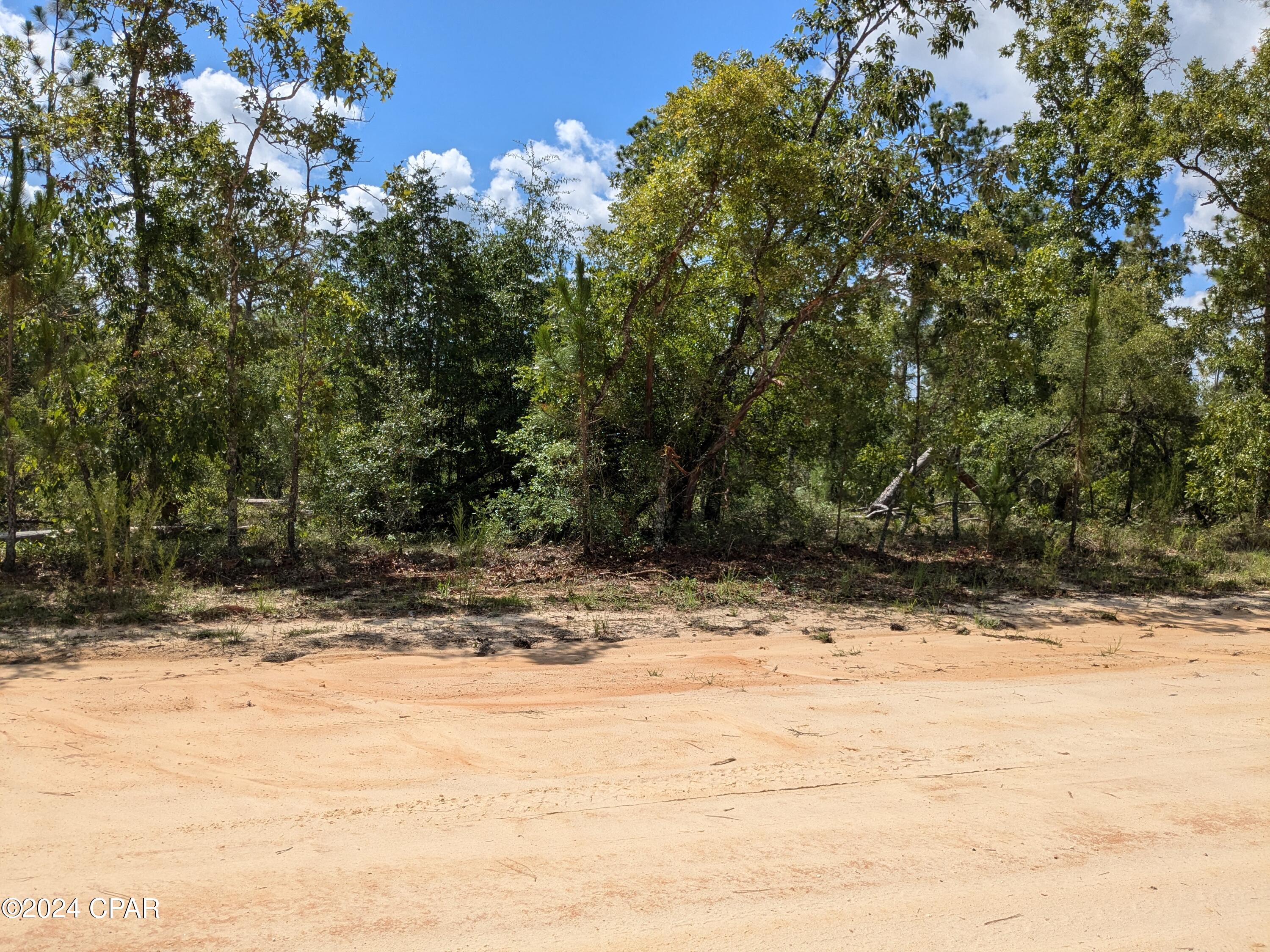 Very nice corner lot with a high elevation. Has a variety trees scattered 
all over. Very buildable lot being high and dry, perfect for that dream home or a nice manufactured home.
It is only a short walk to Lake McCormick for swimming and picnics or non motorized boating and canoeing around the lake.  It is located in a quiet area with hardly no traffic. 
Land owners can voluntary join the Compass Lake  Community Association and have amenities for both lakes including Swimming pool, Tennis courts, Pickleball courts, Driving range, Boat ramp, Community center ,Fishing , Boating, Cabins, RV sites and more....
Only $135 annual voluntary