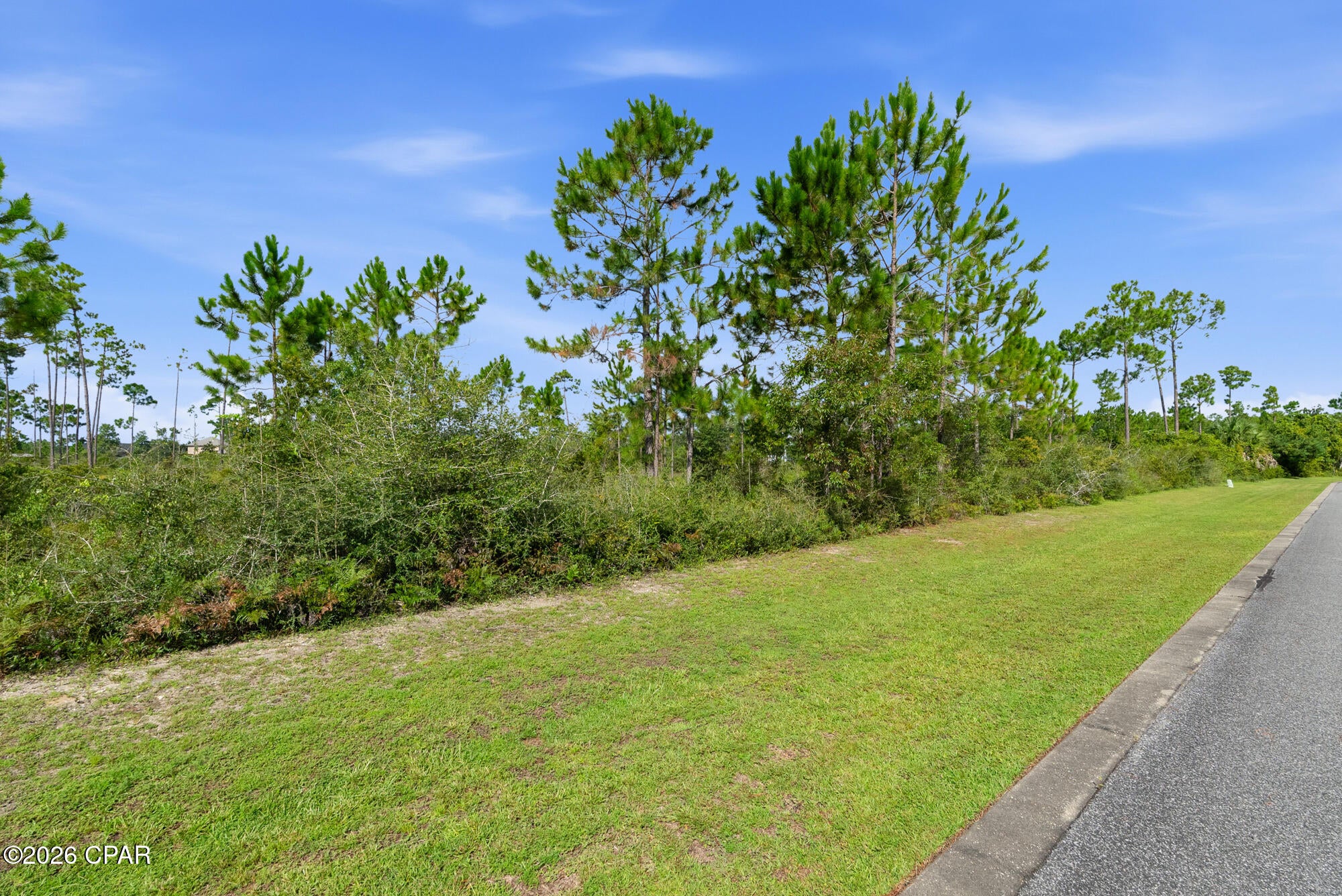 Laird Bayou - Land