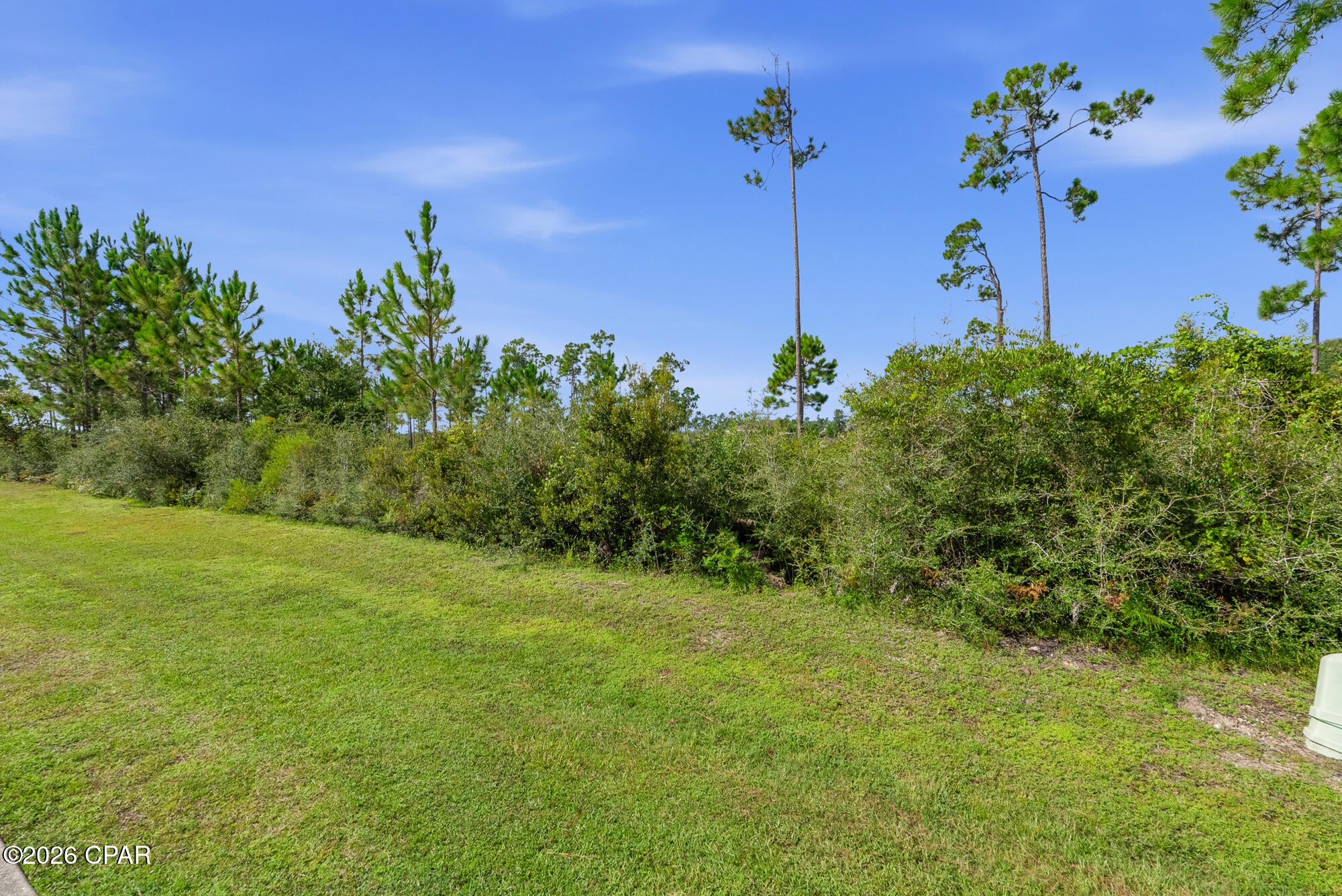 Laird Bayou - Land