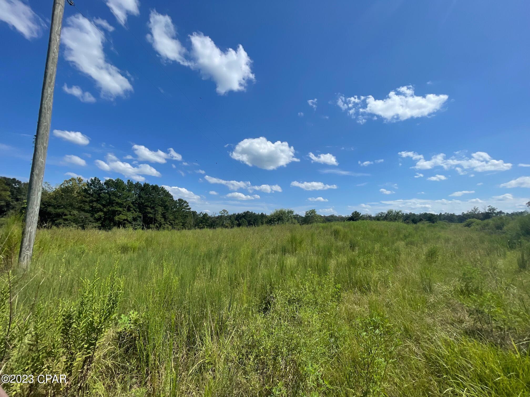 We have two (2) lots available each being over 11 acres. Pasture, partially fenced, electricity available. Deed restrictions will apply. Horses, cows, ect welcome. Doublewide mobile homes 5 years or newer allowed. Survey needed to determine exact dimensions  and acreage. Just off paved road. Lot one is undercontract but will consider back up offers. Lot 2 is available.