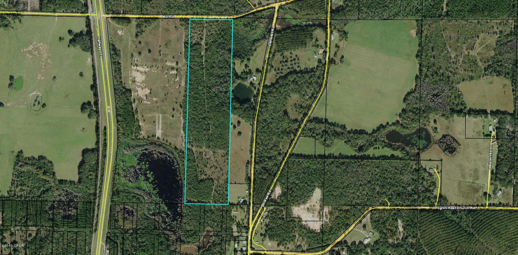 Great 40 acres mostly wooded and LOCATED IN BETWEEN 2 PONDS. Great hunting, great homesites, great recreationa tract. located just off hwy 231. on County road, Close to Beaches but Fresh water!! NO RESTICTIONS