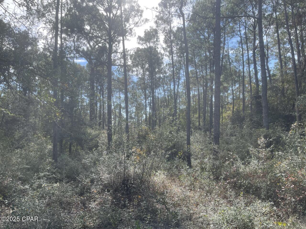 Other - Land