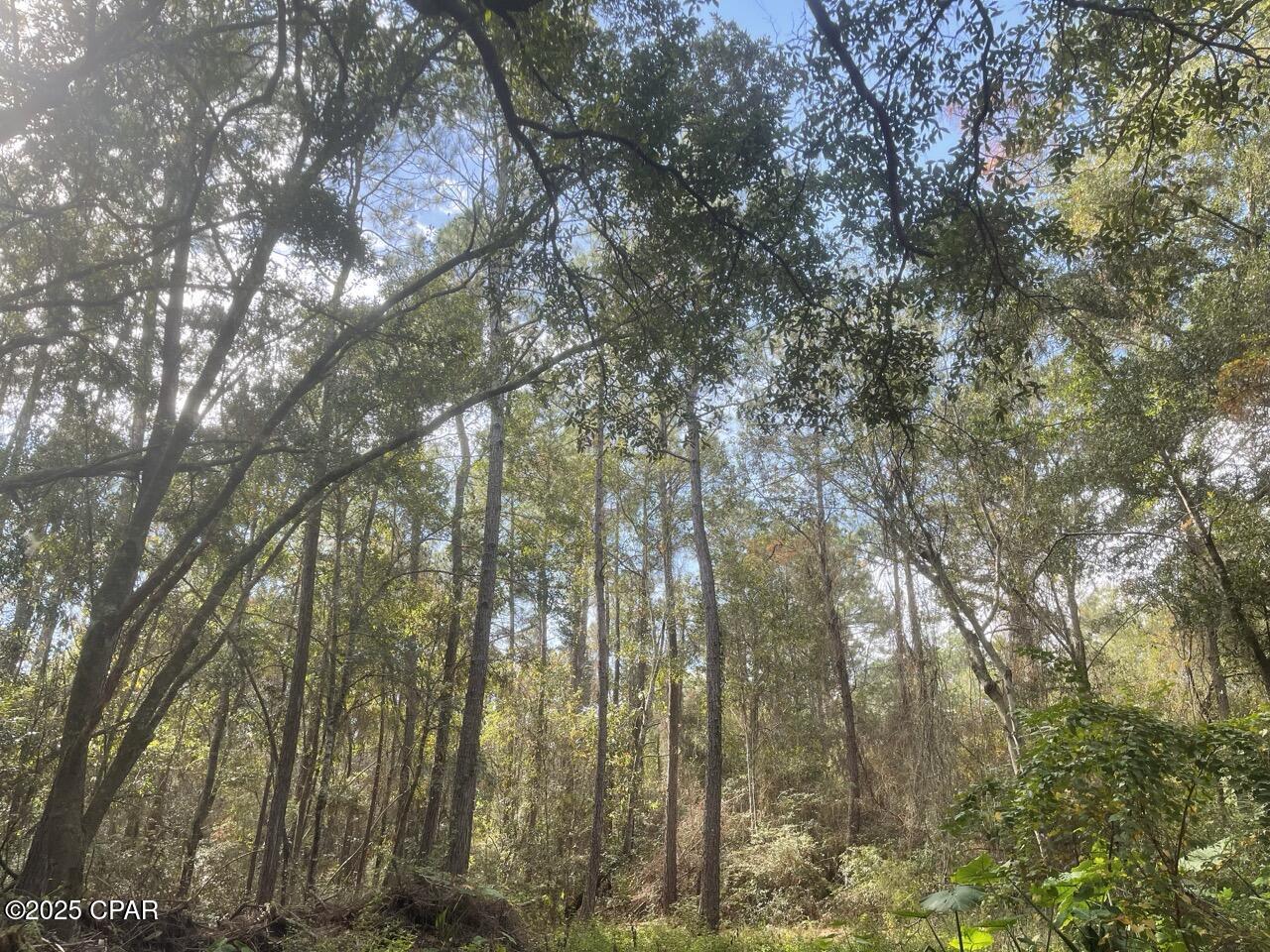 Other - Land