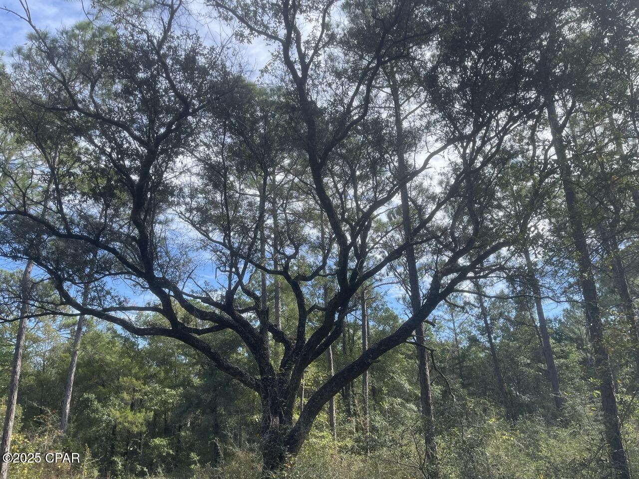Other - Land