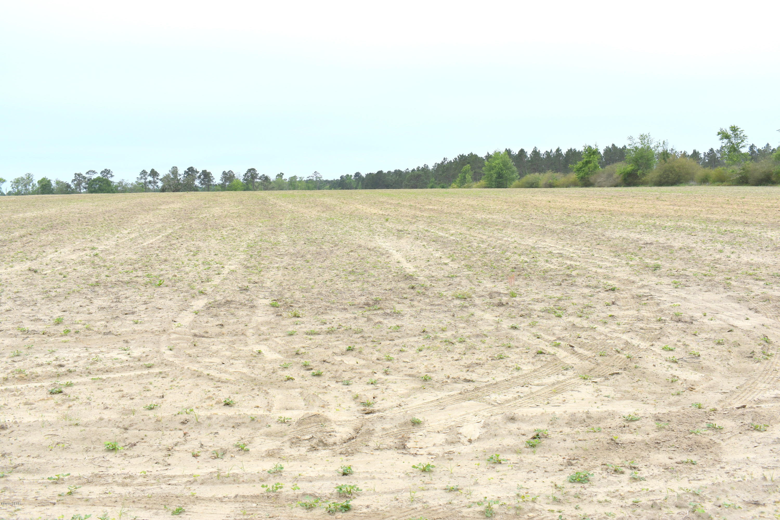 Located just off Hwy 77 between Chipley and Wausau this cleared 8.84 acres is ready for your dream house, mobile home or tractor.  Property has recently been surveyed and has a gentle incline towards the center of the property perfect for your new homesite