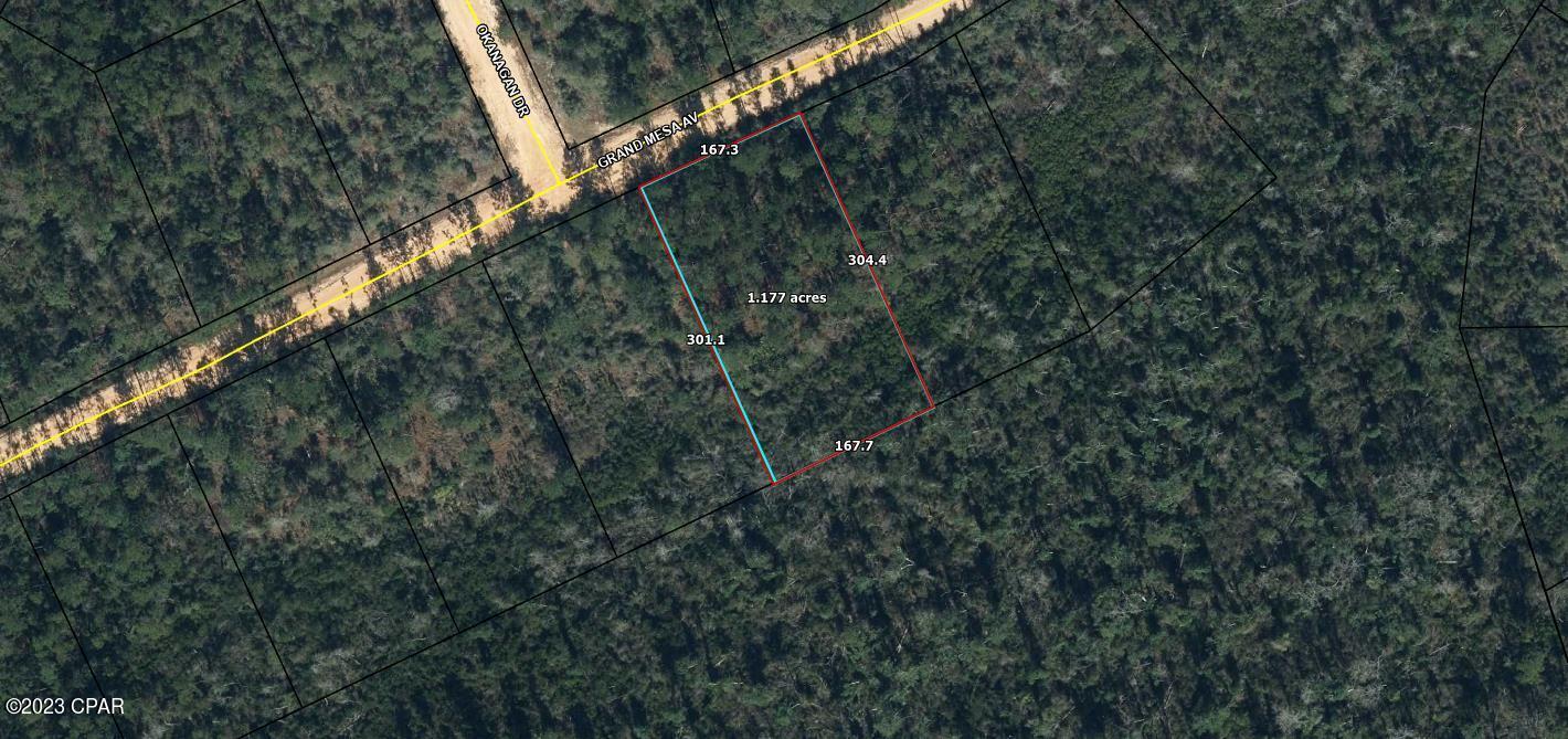 1.1 acre lot located in the Compass Lake in the Hills subdivision that backs up to green space, no rear neighbors! This property would be perfect for building a house. Compass Lake in the Hills is a deed restricted subdivision located off of Highway 231 in Jackson County. Featuring disk golf, a driving range, swimming pool, camping, waterfront restaurants, and multiple freshwater lakes, with the best one being Compass Lake. Compass Lake is a gorgeous spring-fed lake that is loved for boating, fishing, and water-skiing. On McCormick Lake there are two beach areas with water toys, a clubhouse, and two covered pavilions available for rent. McCormick Lake is an exclusive facility only available to members and their guests. There are fishing boats, fun yaks, and a beautiful beach on a serene lake. No gasoline engines are allowed on that lake, but boats with electric motors are. The HOA dues are voluntary $125/year, but required to utilize the amenities. Enjoy the slower pace of life this community offers while being less than an hour from Panama City Beach! Buyer to pay owner's title policy and associated title fees.