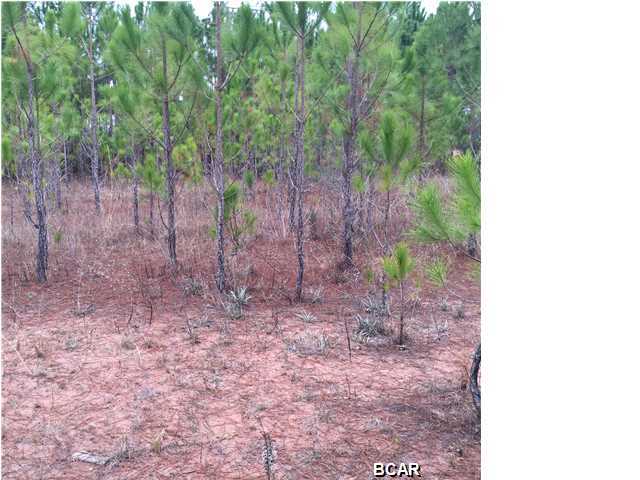 Here is your opportunity to build your dream home in the Cherokee Heights Phase III subdivision. The lot is located at the beginning of a Cul-de-Sac. Don't let this one slip away.