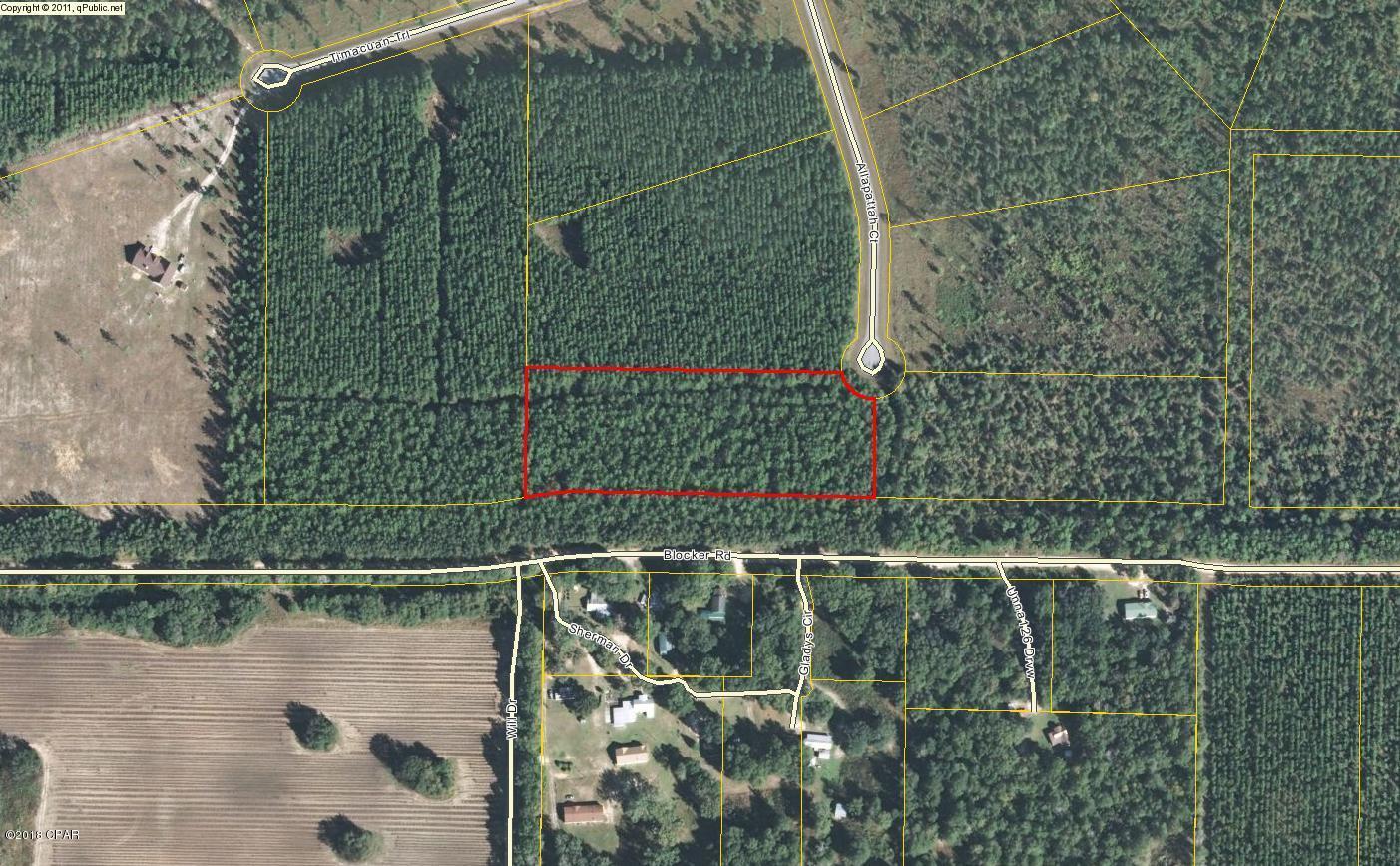 5+ Acres in Blue Springs Plantation at the end of a cul-de-sac. Would make a beautiful new home site.