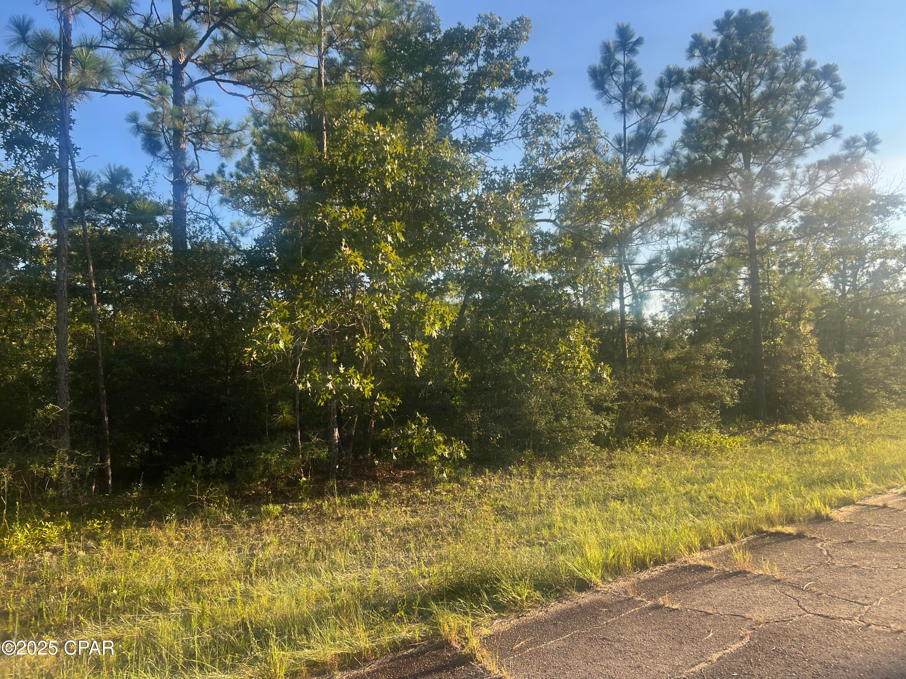 Sunny Hills Unit 5 - Land