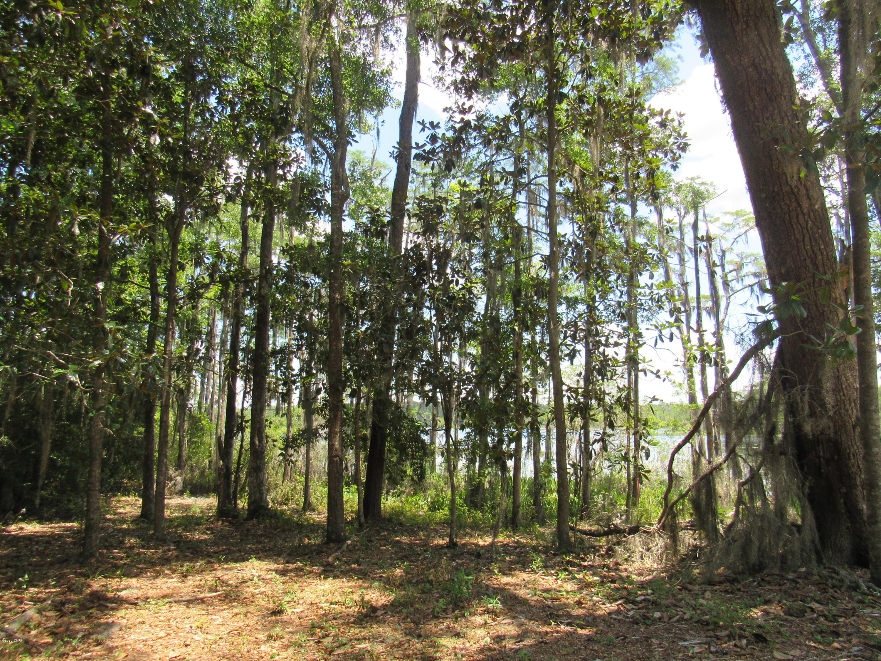 Paradise Oaks - Land