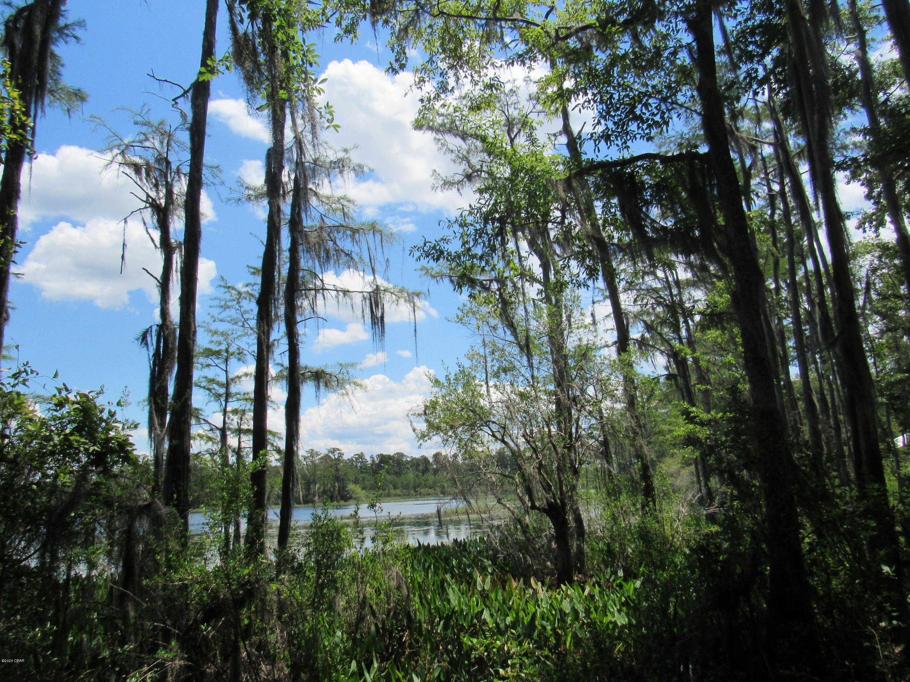 Paradise Oaks - Land