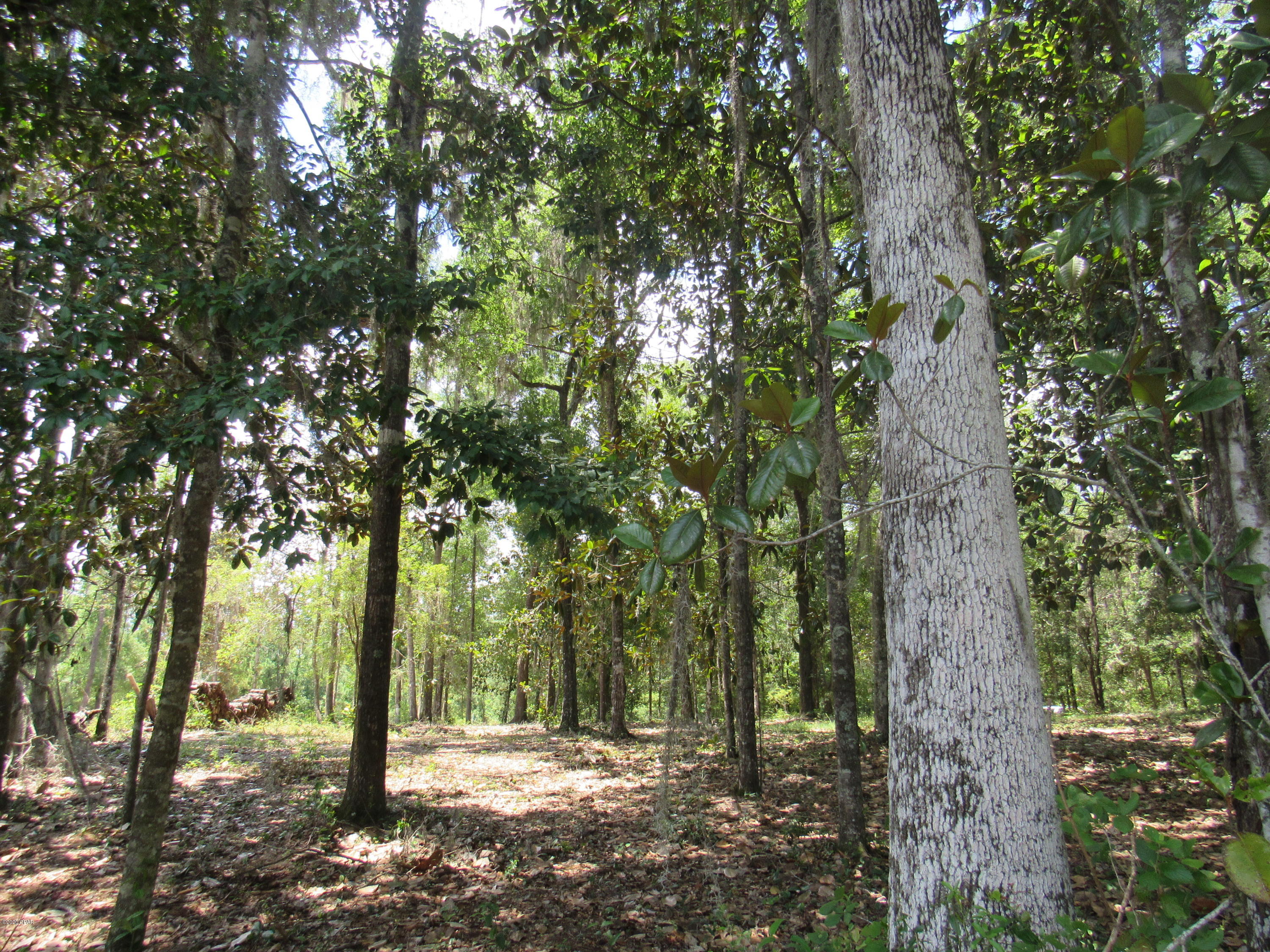 Paradise Oaks - Land