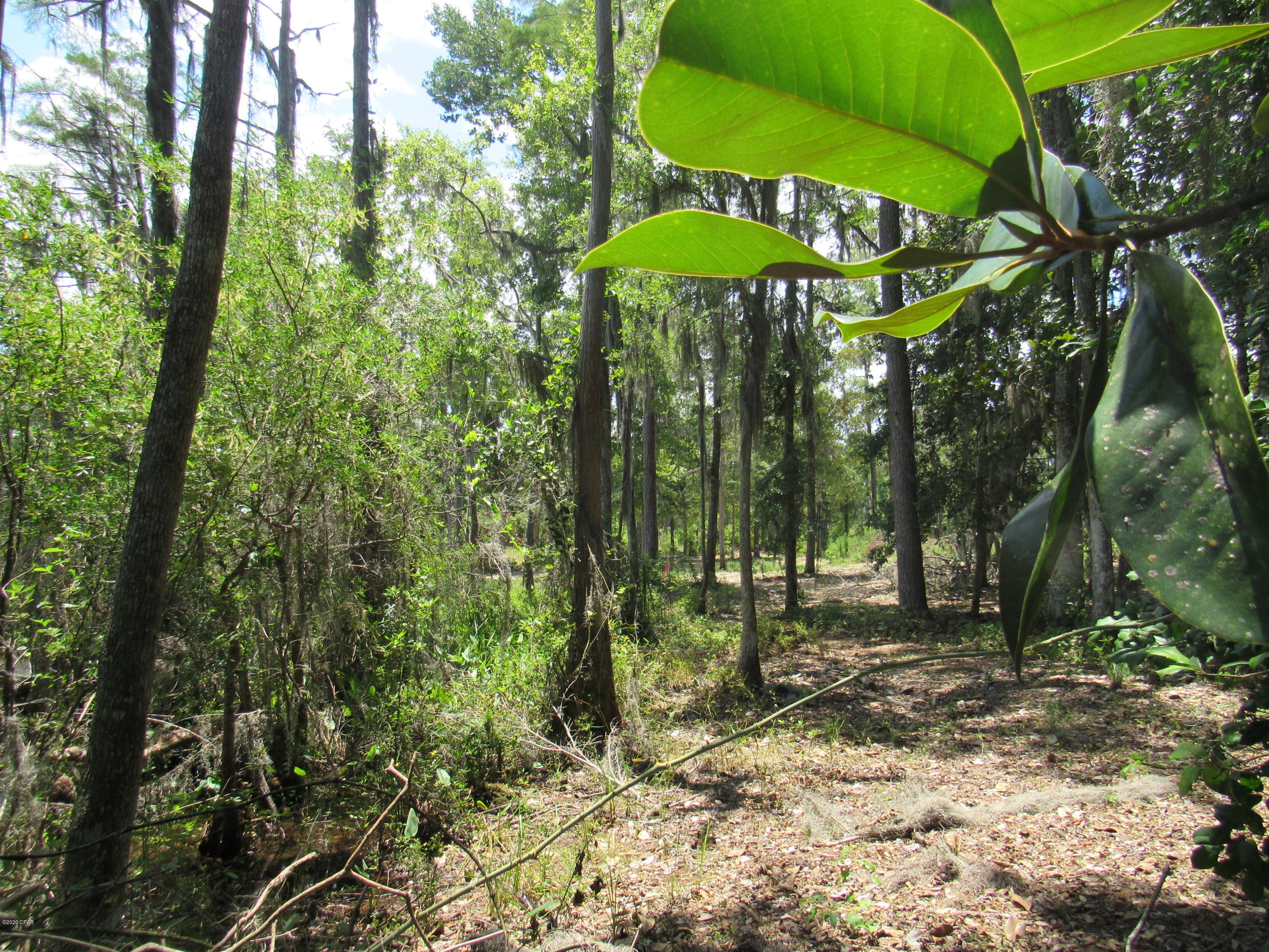 Paradise Oaks - Land