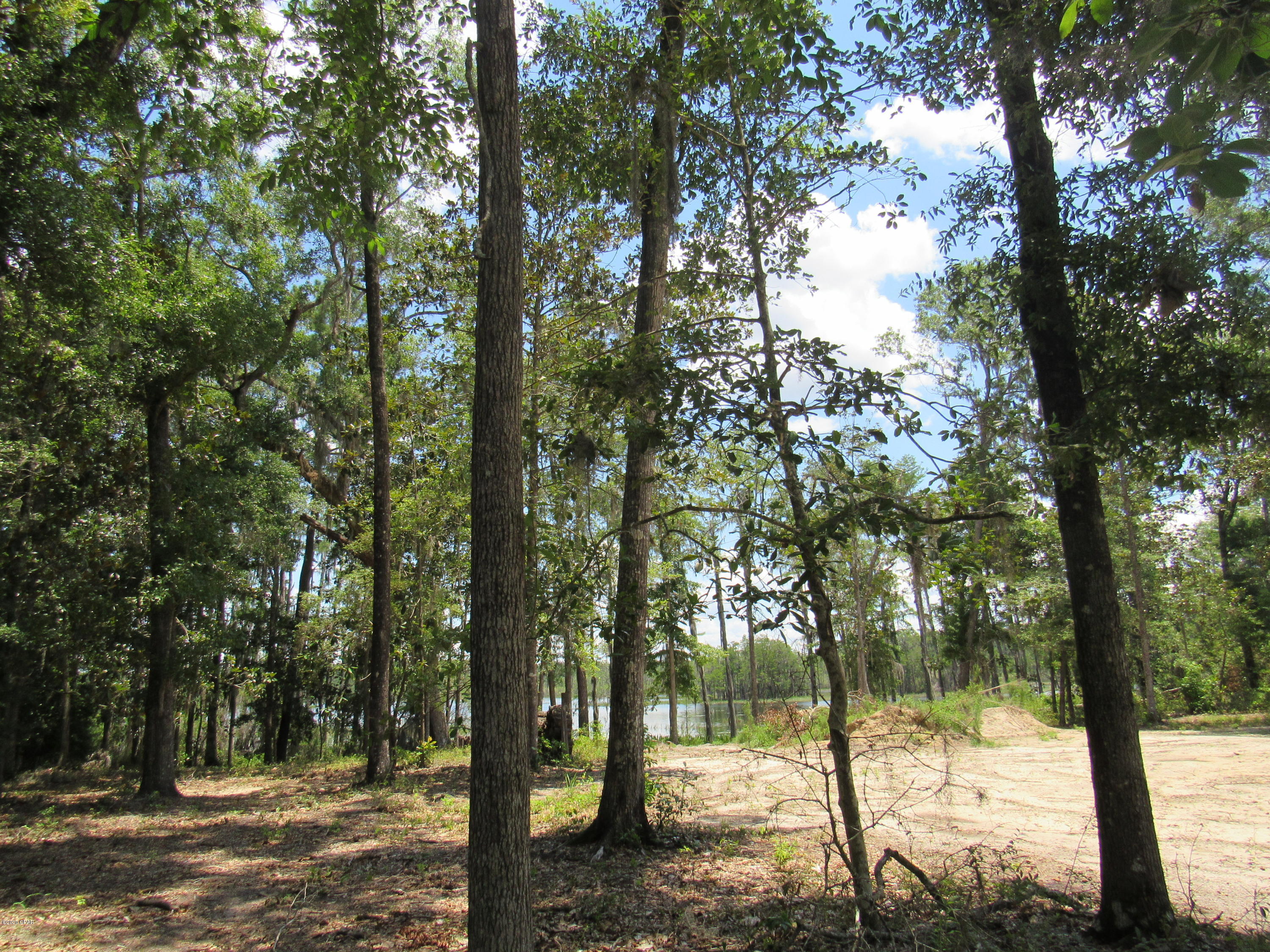 Paradise Oaks - Land
