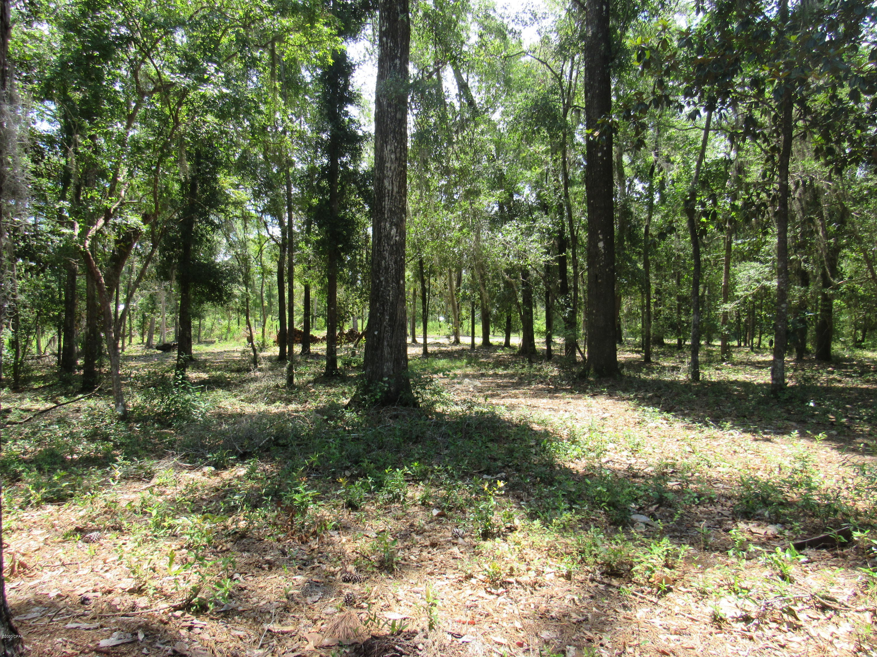 Paradise Oaks - Land