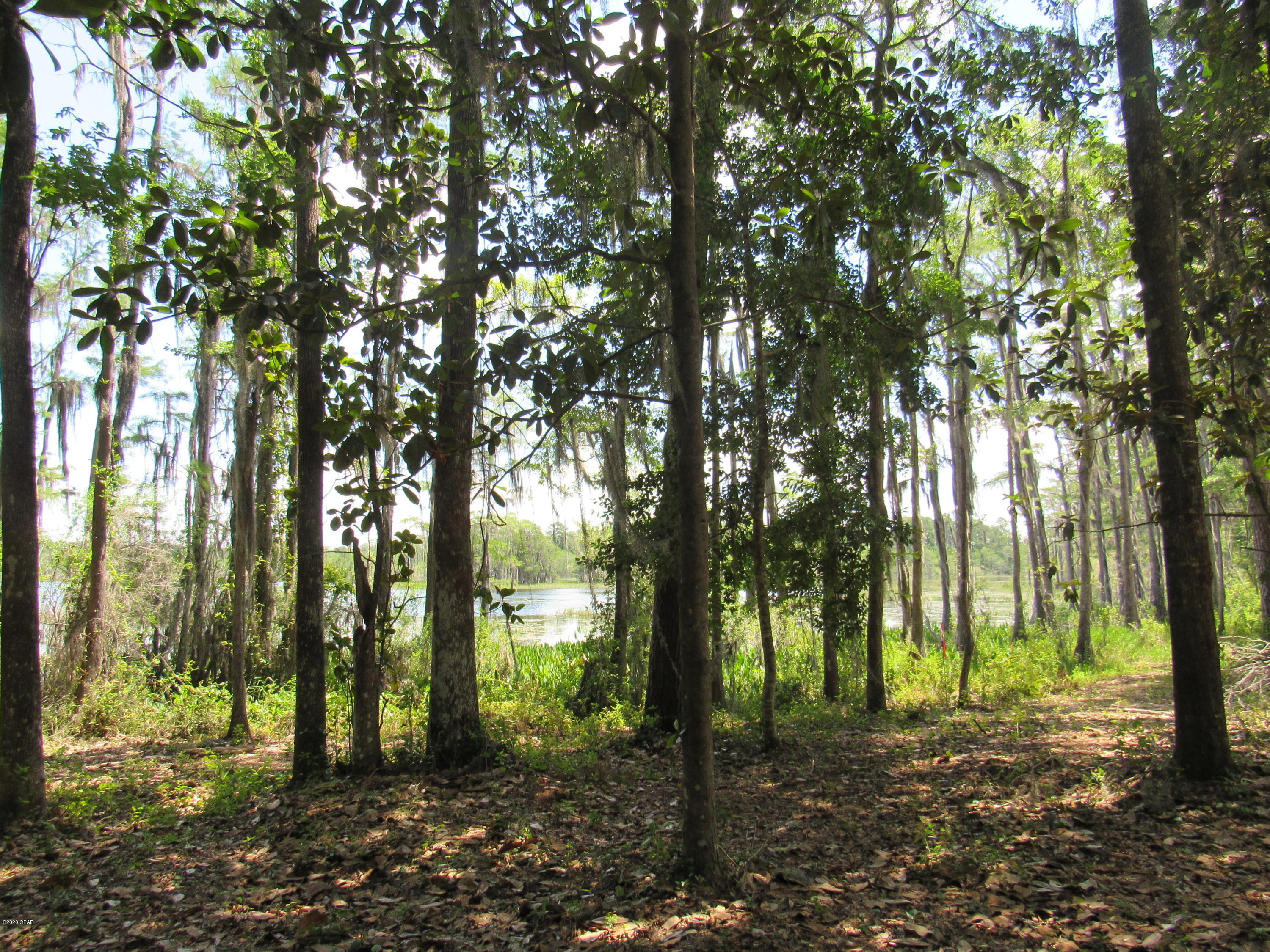 Paradise Oaks - Land