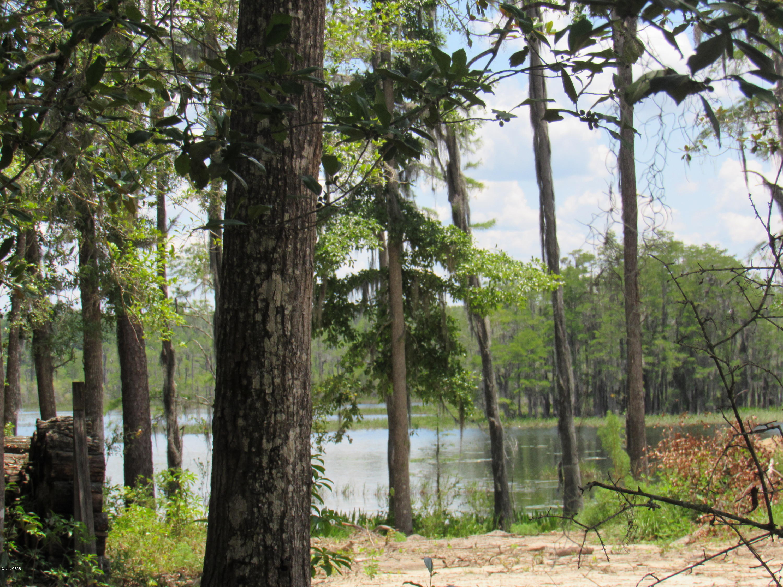 Paradise Oaks - Land