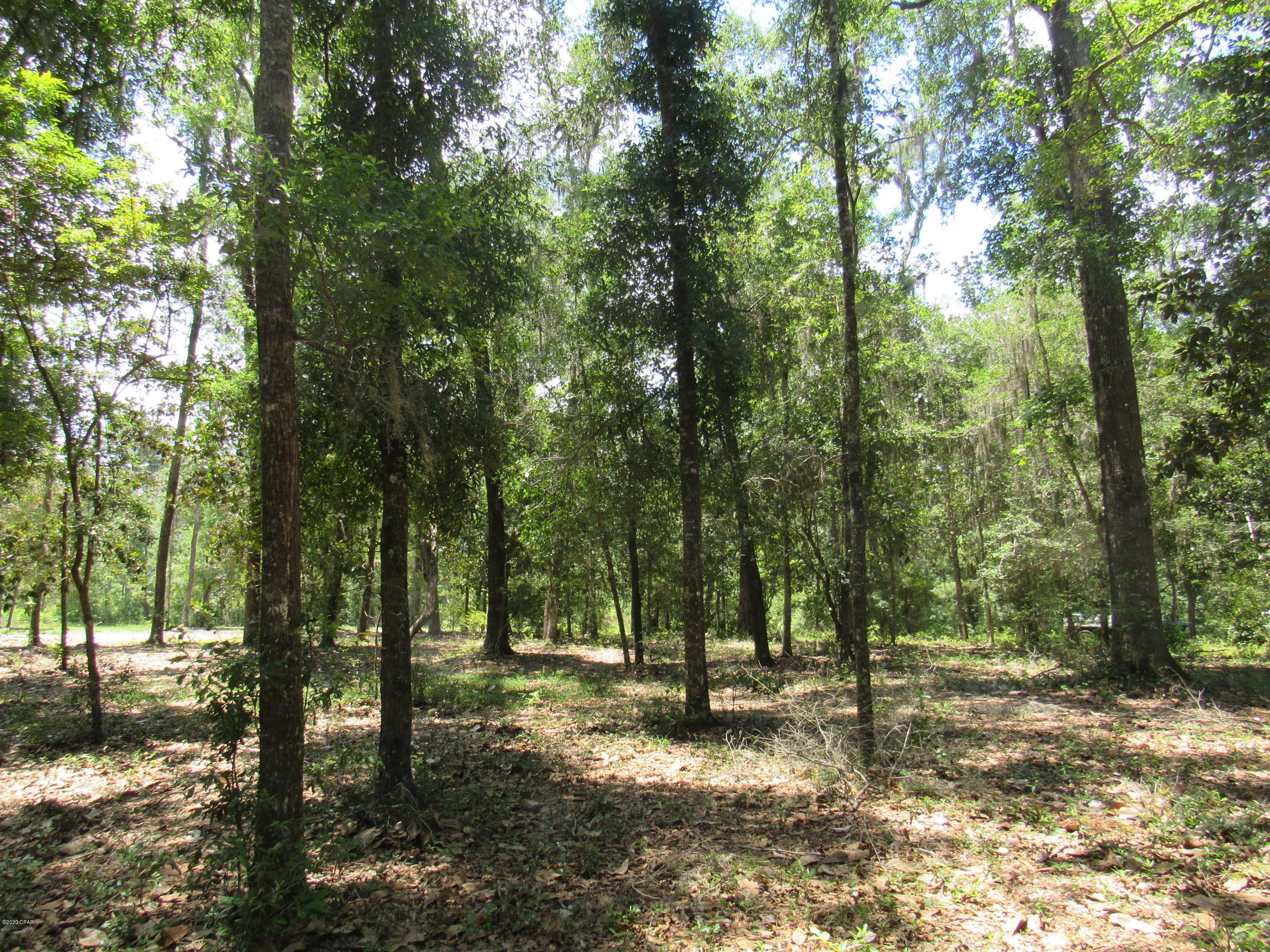 Paradise Oaks - Land
