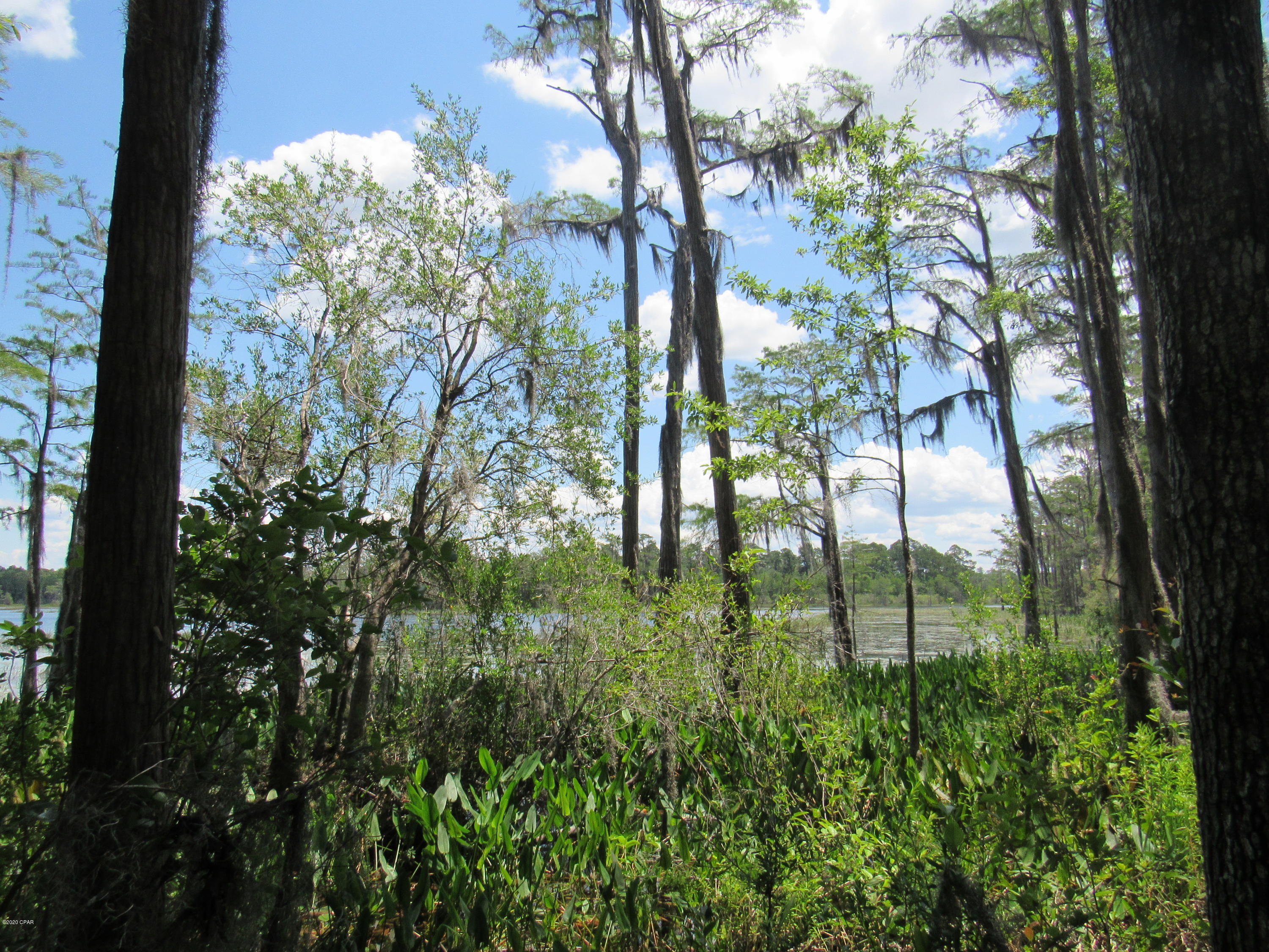 Paradise Oaks - Land