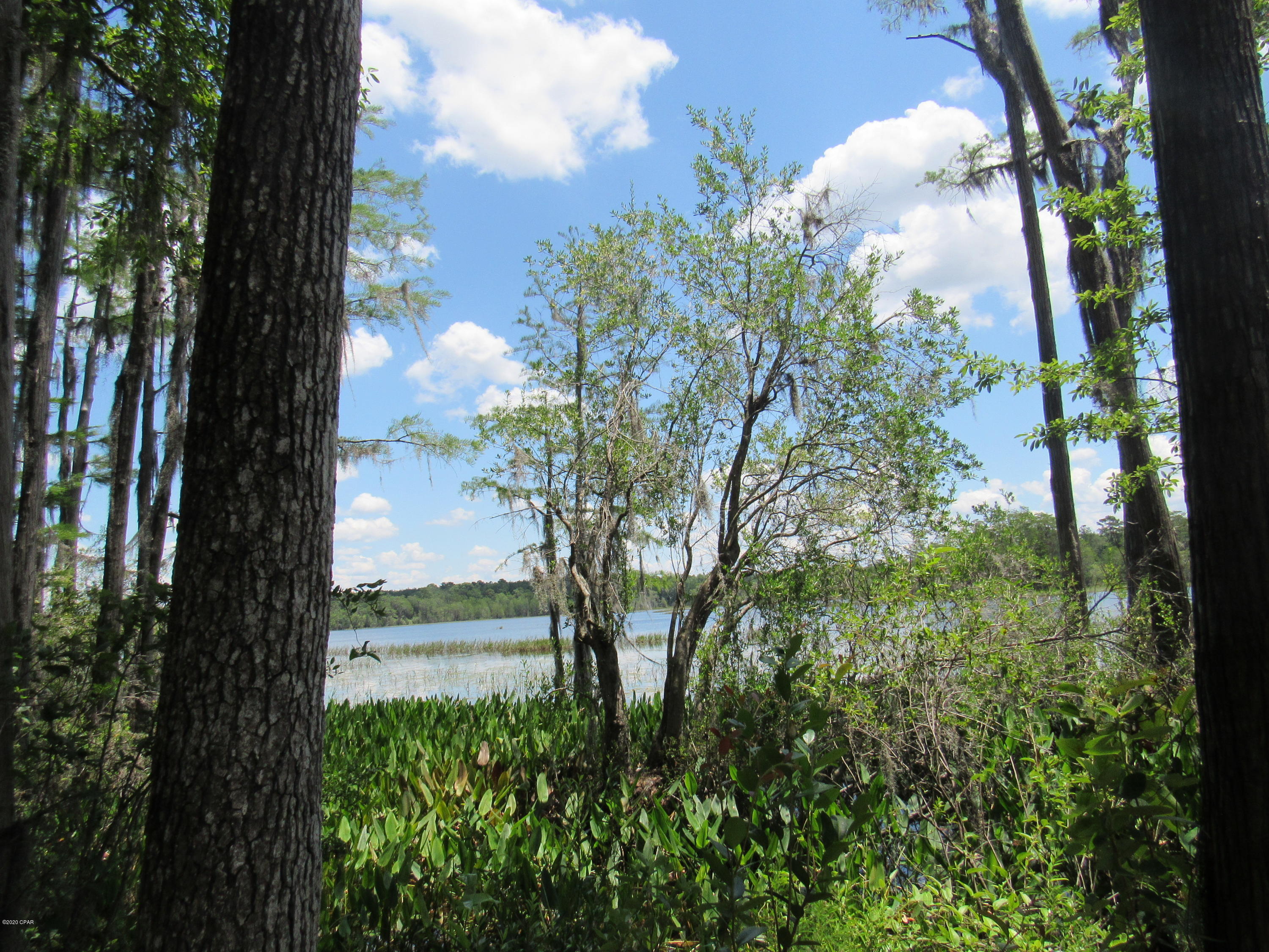 Paradise Oaks - Land