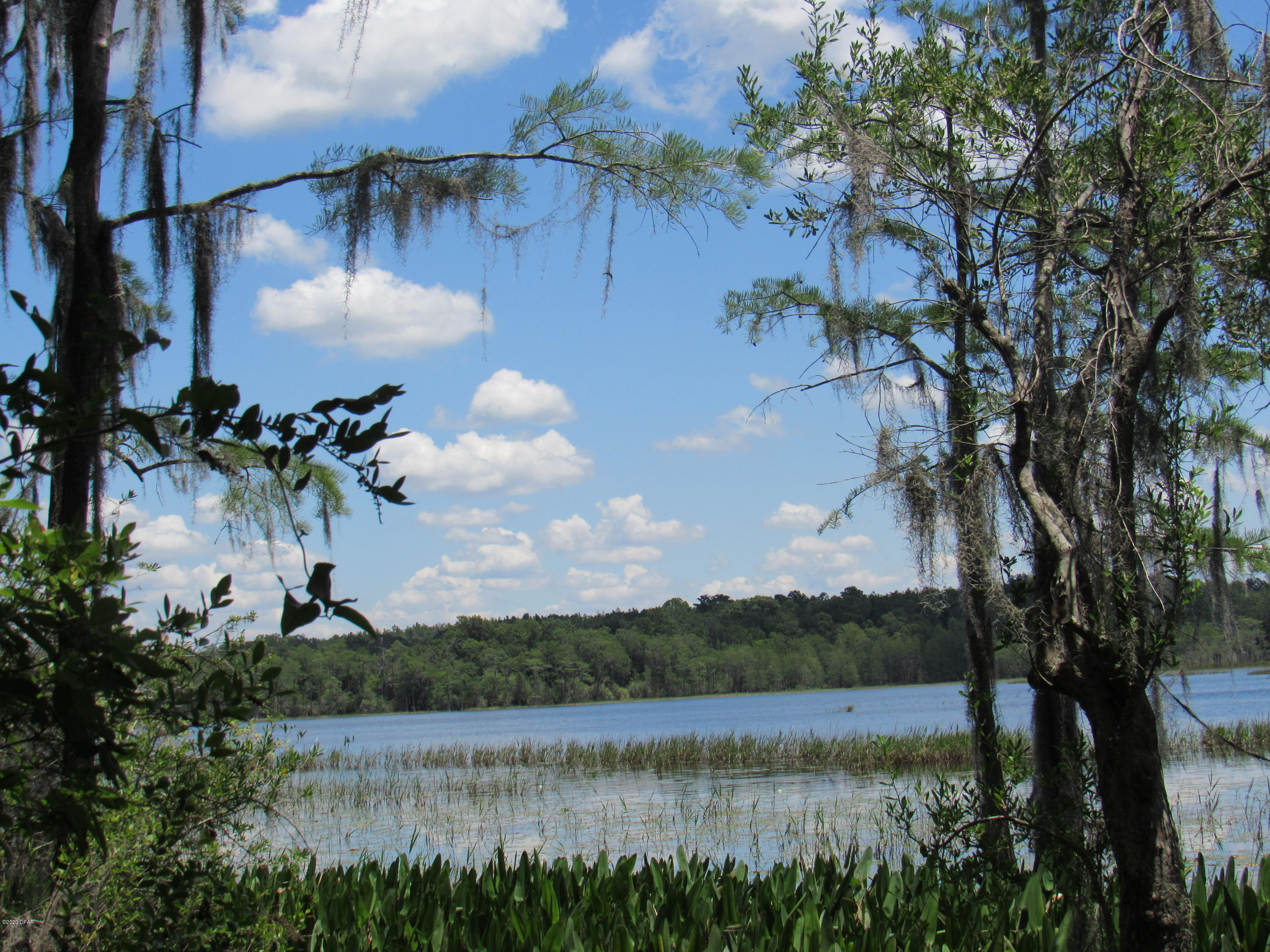 GATED ENTRANCE!  Beautiful 

partially cleared waterfront lot located on the gorgeous 250 acre spring-fed Lake Dunford, in the beautiful, community of Paradise Oaks!  Gorgeous hardwood trees adorn this lot.  The white, sands of Panama City Beach is approximately 35 minutes away!  If you are looking for peace, tranquility, lots of wildlife and great fishing this is the place for you! Own your own little peace of heaven! Small motors are allowed on the lake! There is also a second lot available next to this one for more acreage, each lot is almost is an acre  Electrical is there ready for you to hookup.  Owner financing possible with large down payment.

Owner is a licensed real estate agent.. Please verify all measurements and information for accurac