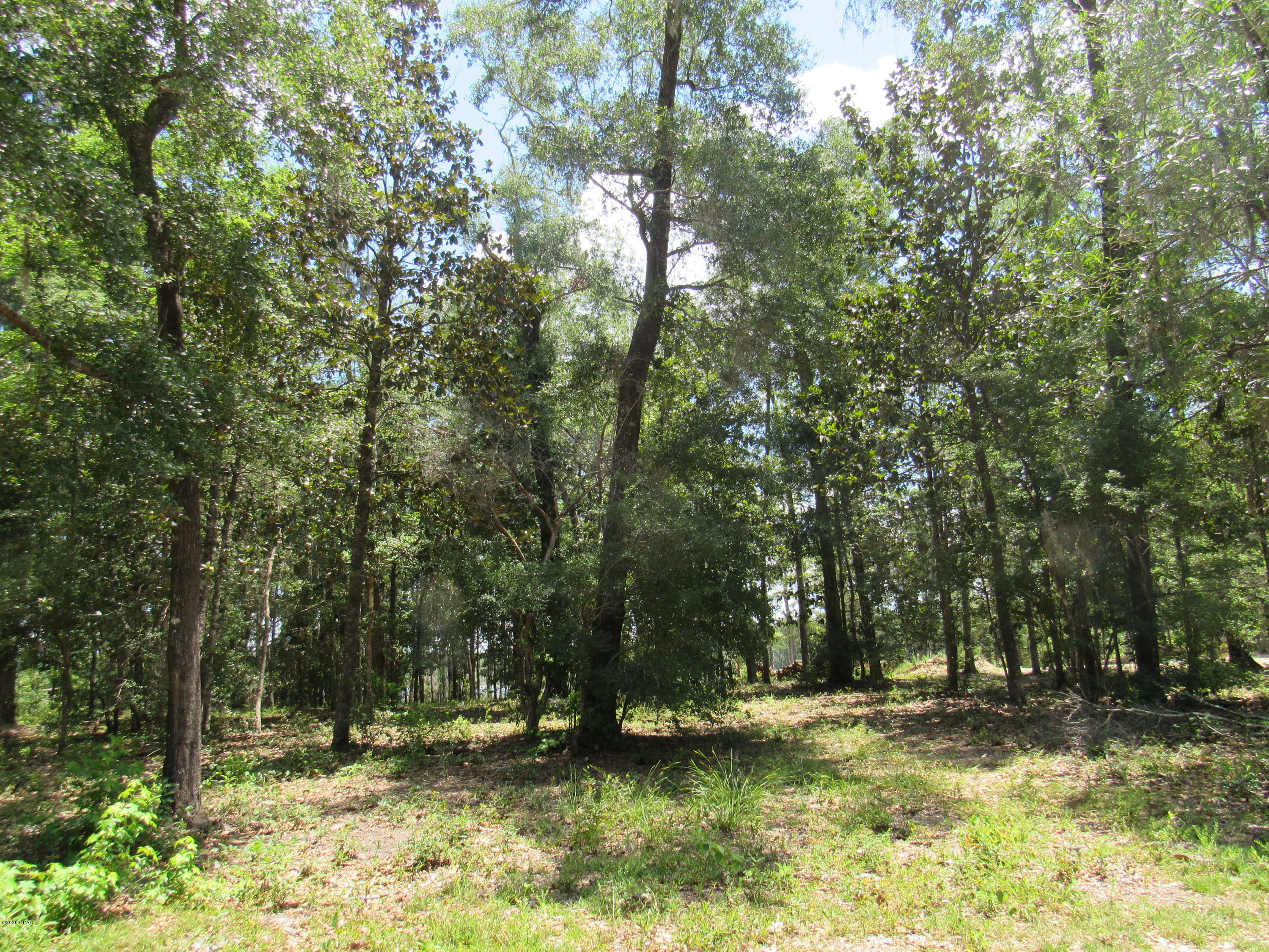 Paradise Oaks - Land
