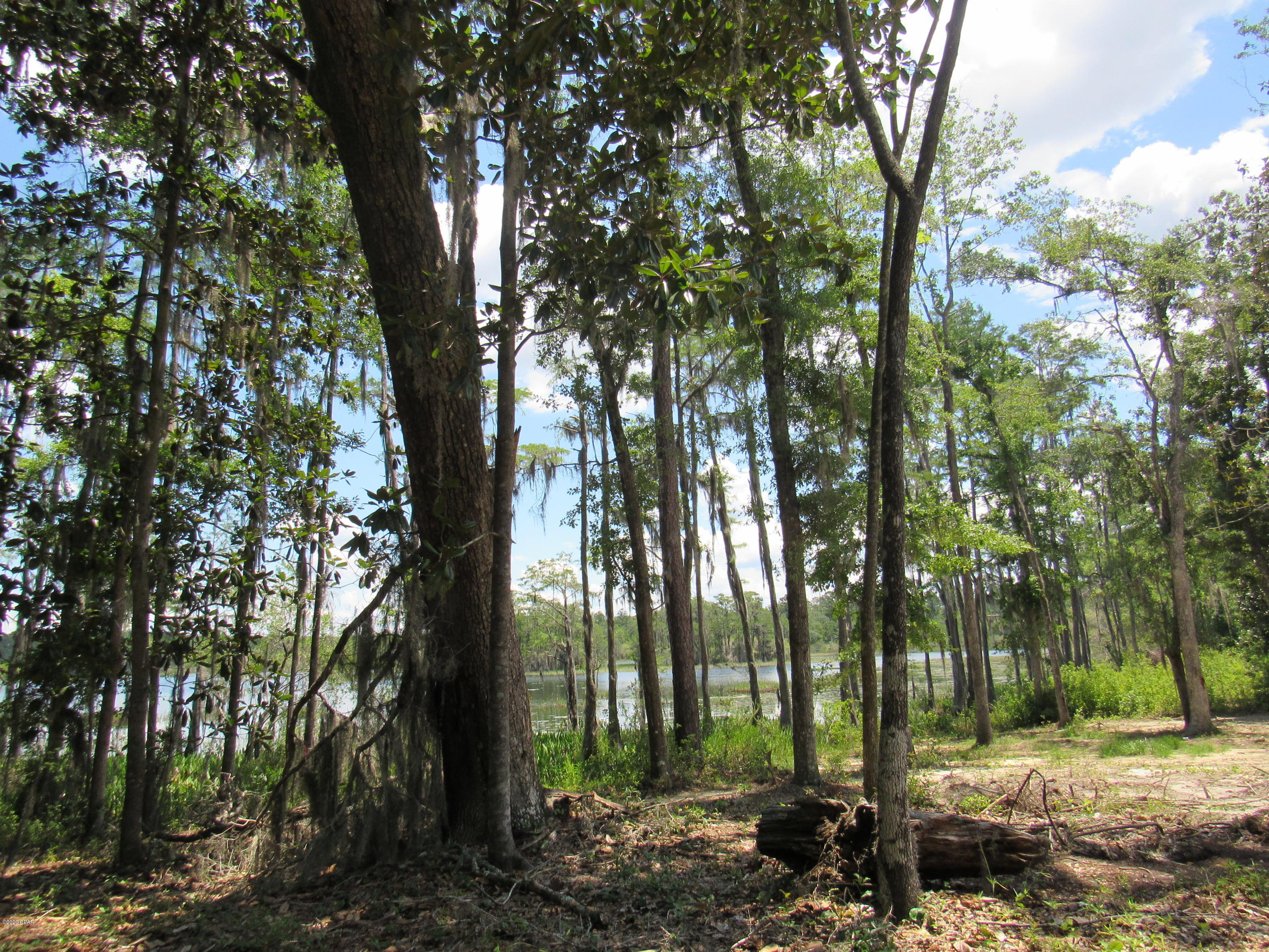 Paradise Oaks - Land