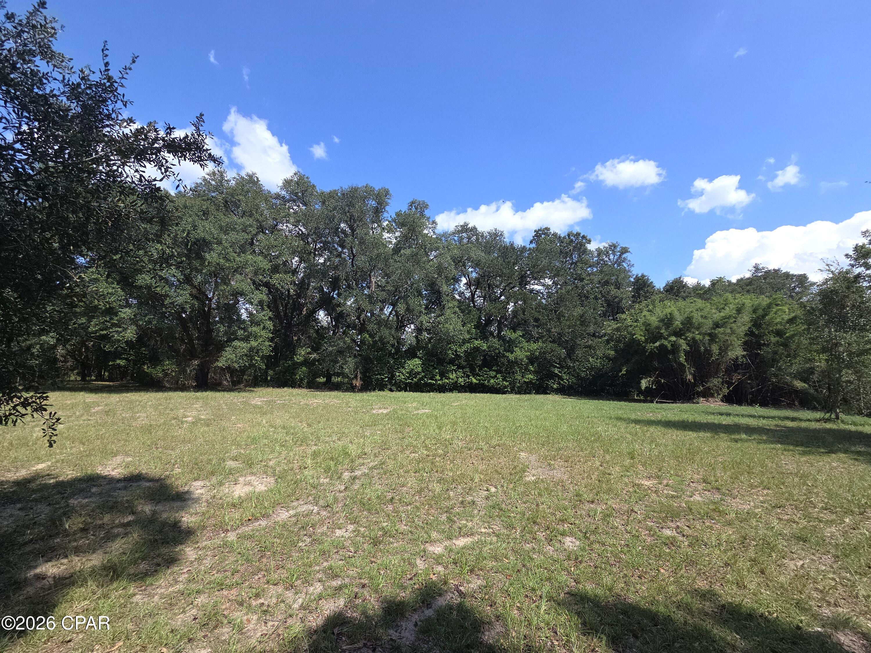Live Oaks Heights - Land