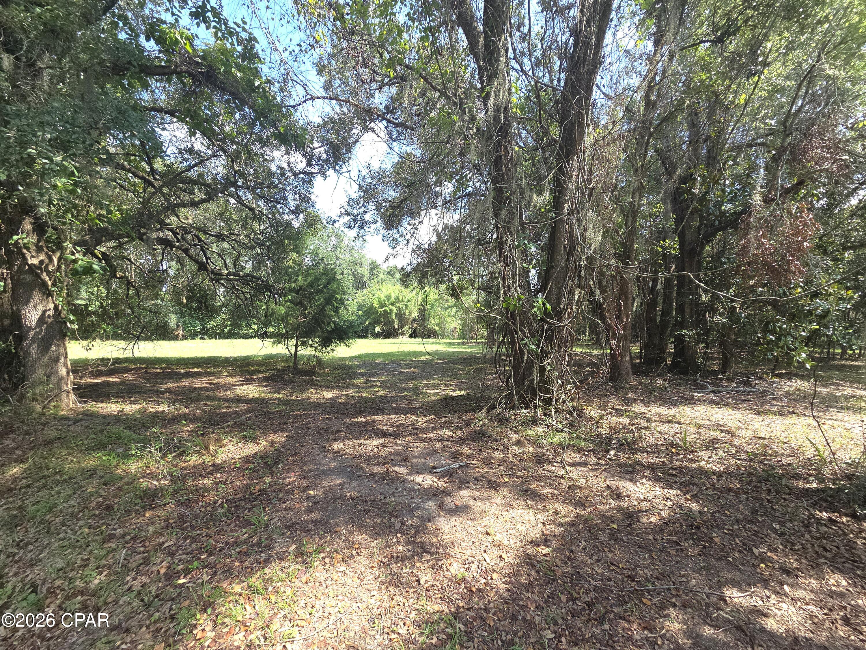 Live Oaks Heights - Land