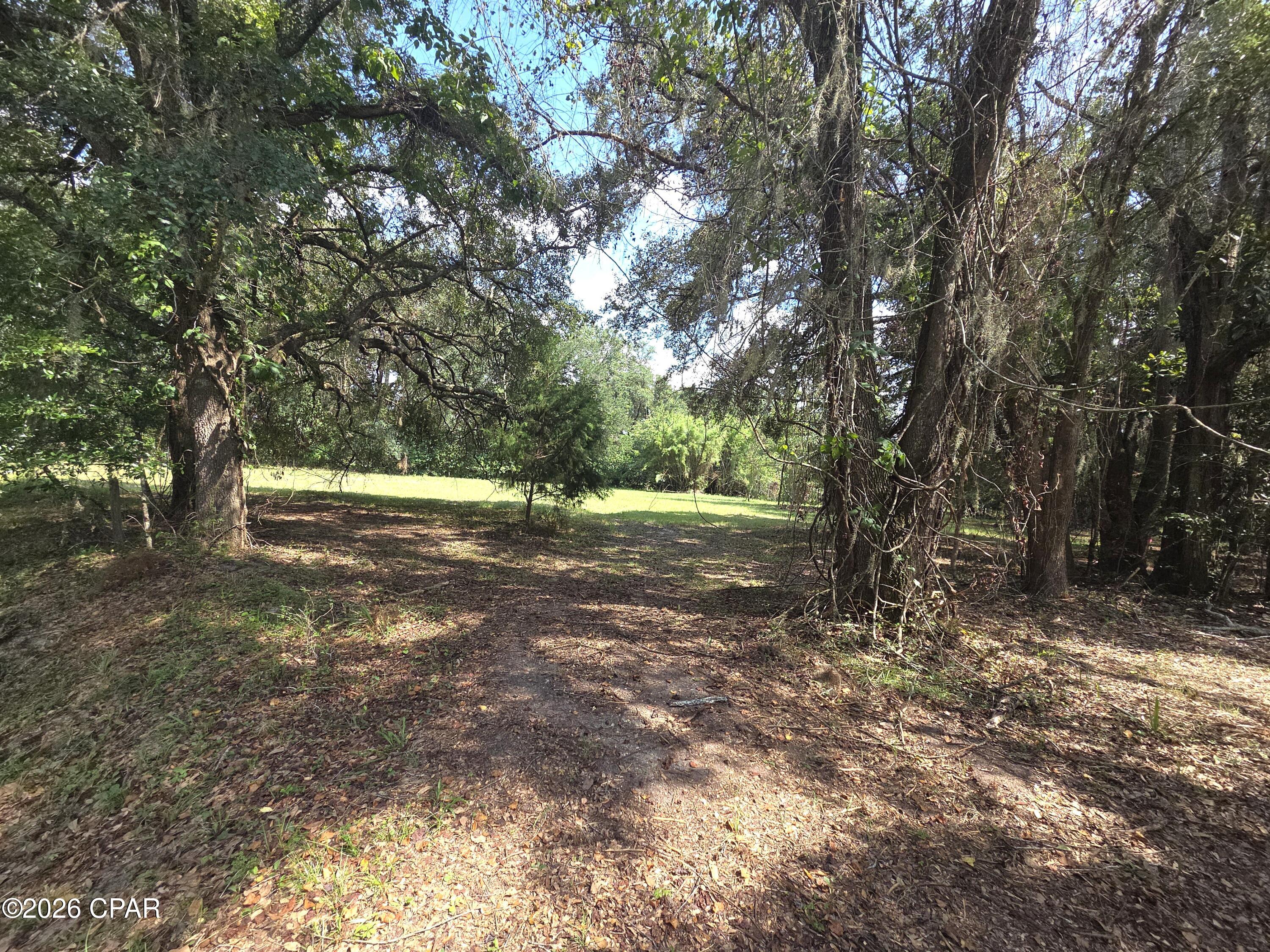 Nice, level mostly cleared 1 acre lot in Blountstown.  Near everything yet feels secluded.  Recent survey available.
