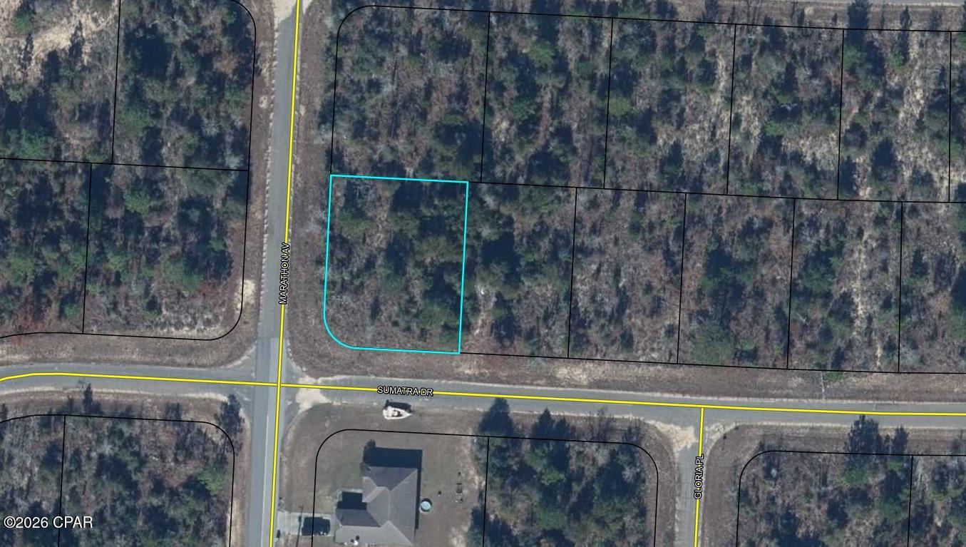 Great corner building lot in the growing Sunny Hills community. Located approximately 30 miles north of Panama City and 18 miles south of Chipley and I-10. This community features a popular and affordable 18 hole public golf course and many fine fishing lakes. There are several national builders working the area to accommodate the growth pushing north out of town. Great opportunity to invest in the future of the Florida panhandle.