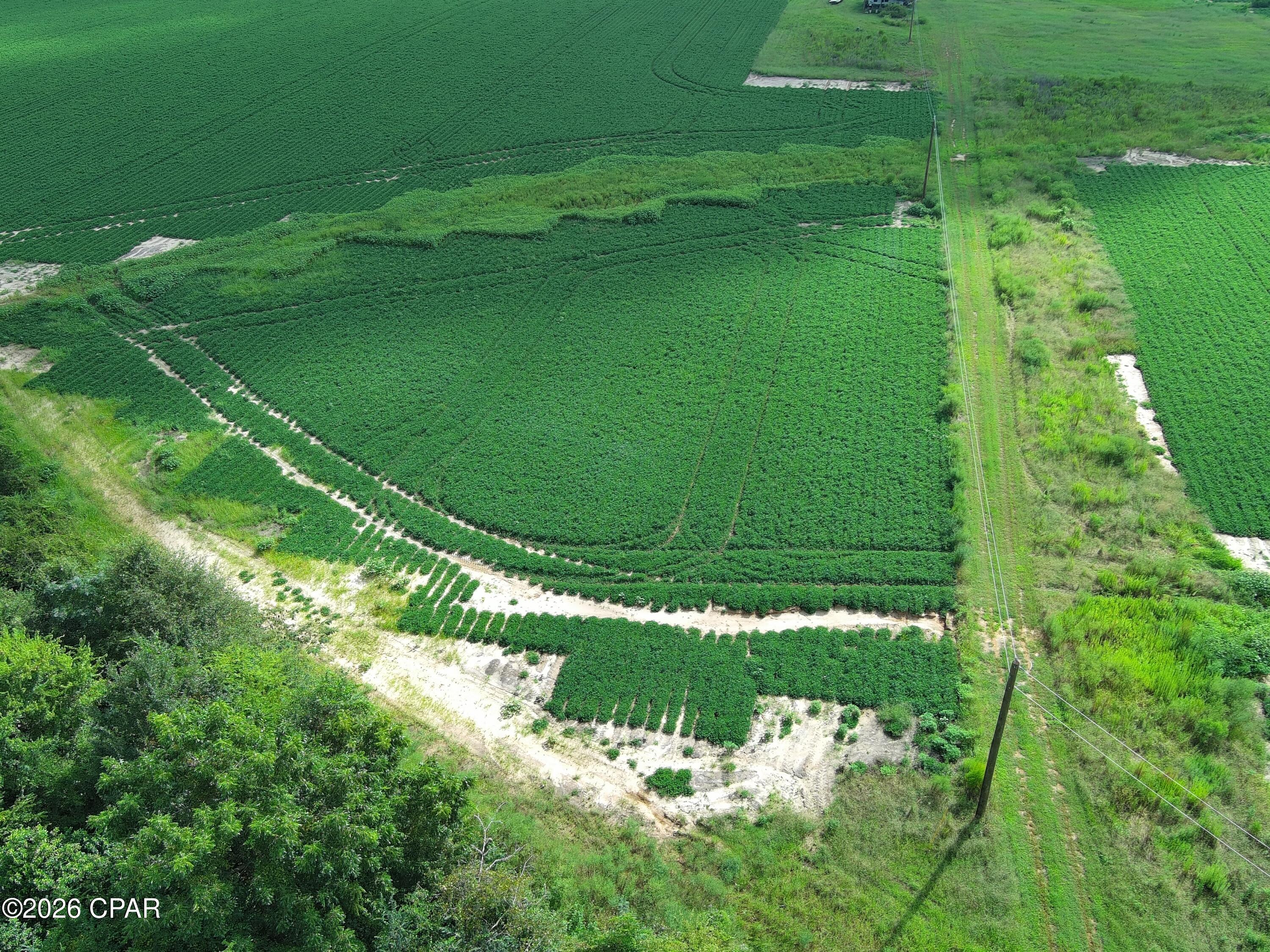 ABSOLUTELY BEAUTIFUL 39+ ACRES OF FARMLAND!

Located just south of Marianna, Florida, this beautiful 39+ acre property is currently being farmed and offers an excellent opportunity for agricultural use, investment, or future development.

The sellers are motivated and ready to consider offers. Don't miss your chance to own a sizable piece of productive farmland in a desirable Jackson County location!

39+ Acres | Currently Farmed | South of Marianna | Motivated Sellers.

Exact lot lines to be determined by a survey.
