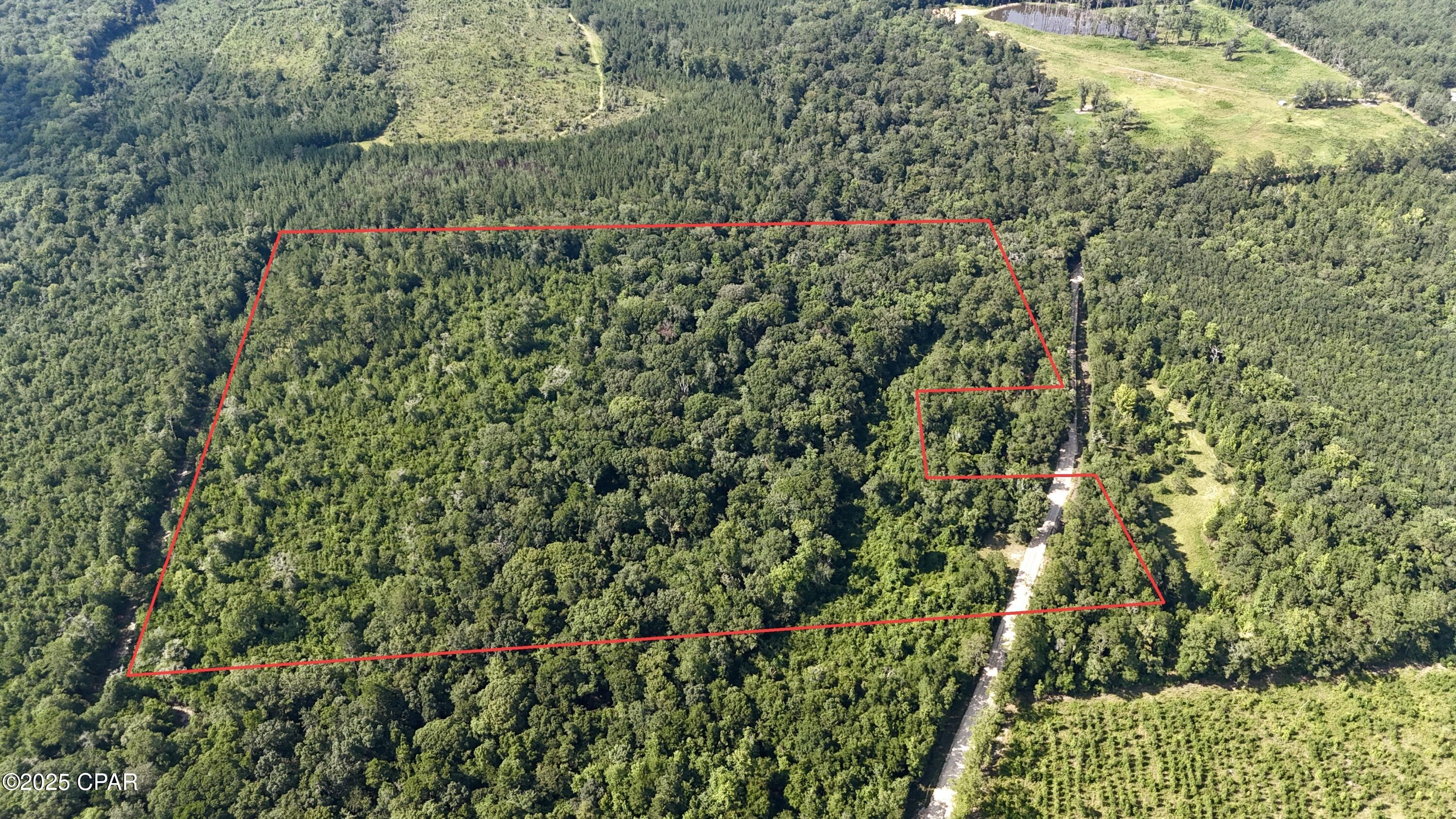 Creekfront Property on 37+ Acres!
This versatile property is perfect for building your dream home, establishing a hunting retreat, or creating a peaceful getaway. Enjoy abundant wildlife, mature trees, and a beautiful creek running through the land. With plenty of space and endless potential, this property offers privacy and opportunity in a serene setting. Contact your agent today to schedule a showing.

Buyer and buyer's agent to verify all pertinent information regarding the property.