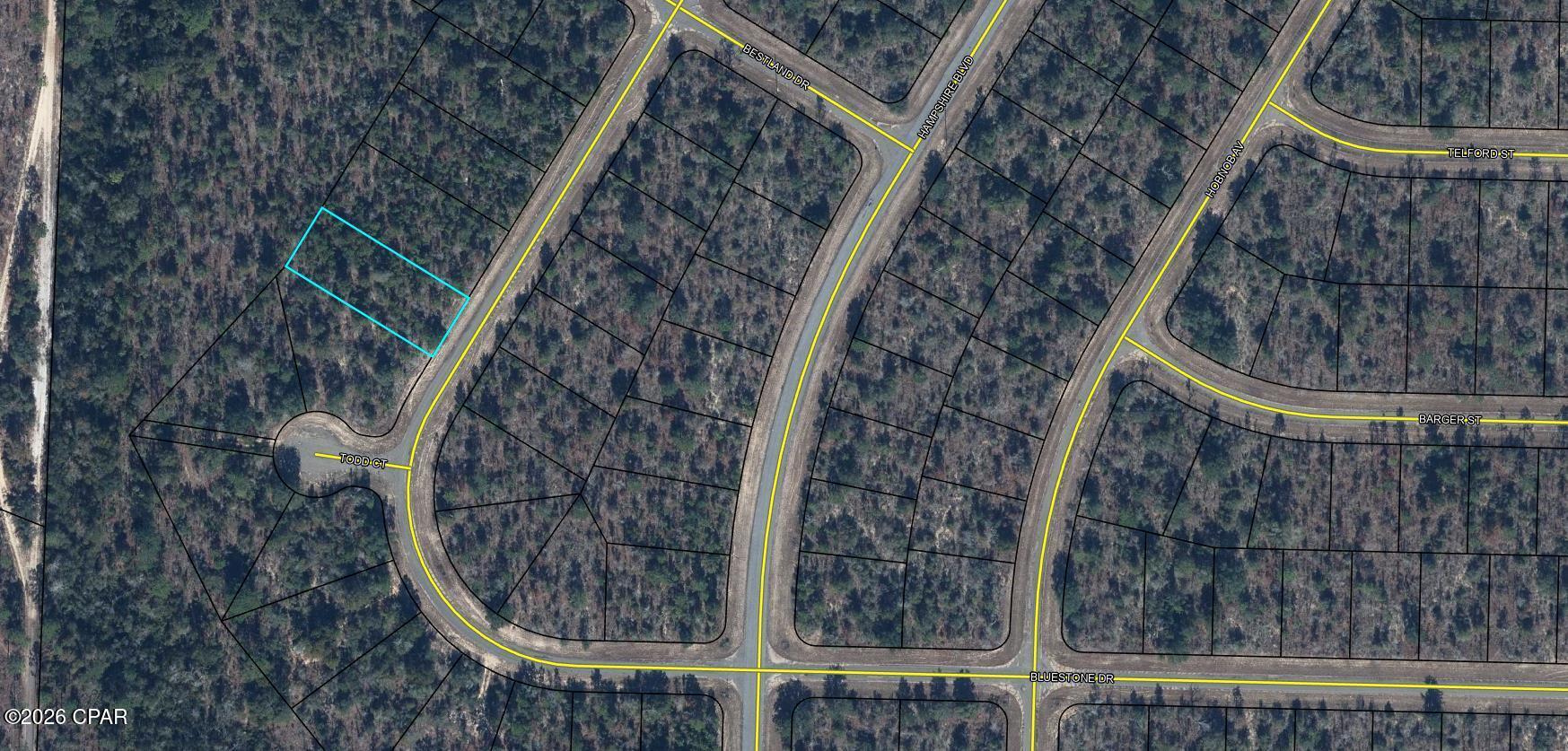 Surveyed residential property located in a quiet, undeveloped area of Sunny Hills, offering a peaceful setting for a future home. The parcel backs up to approximately 70 acres of currently undeveloped land owned by The Deltona Corporation. Sunny Hills amenities include several fishing lakes, seasonal swimming at Boat Lake with its white sandy beach, and an 18-hole golf course. The seller also has eight additional surveyed lots listed in various areas of Sunny Hills and may consider a package deal. Buyer is responsible for the owner's title policy, documentary stamps on the deed, and the title company closing fee.