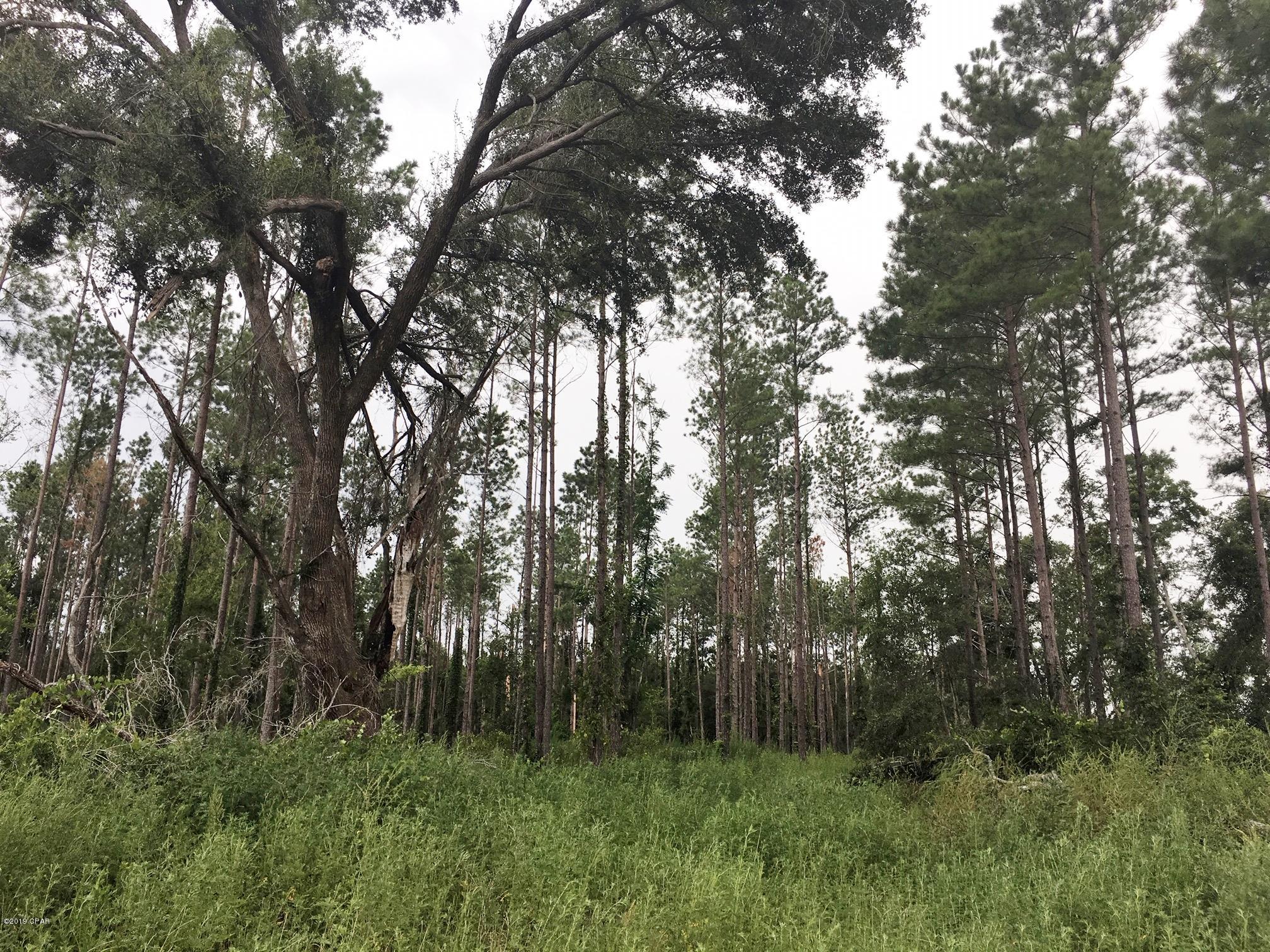 No Named Subdivision - Land