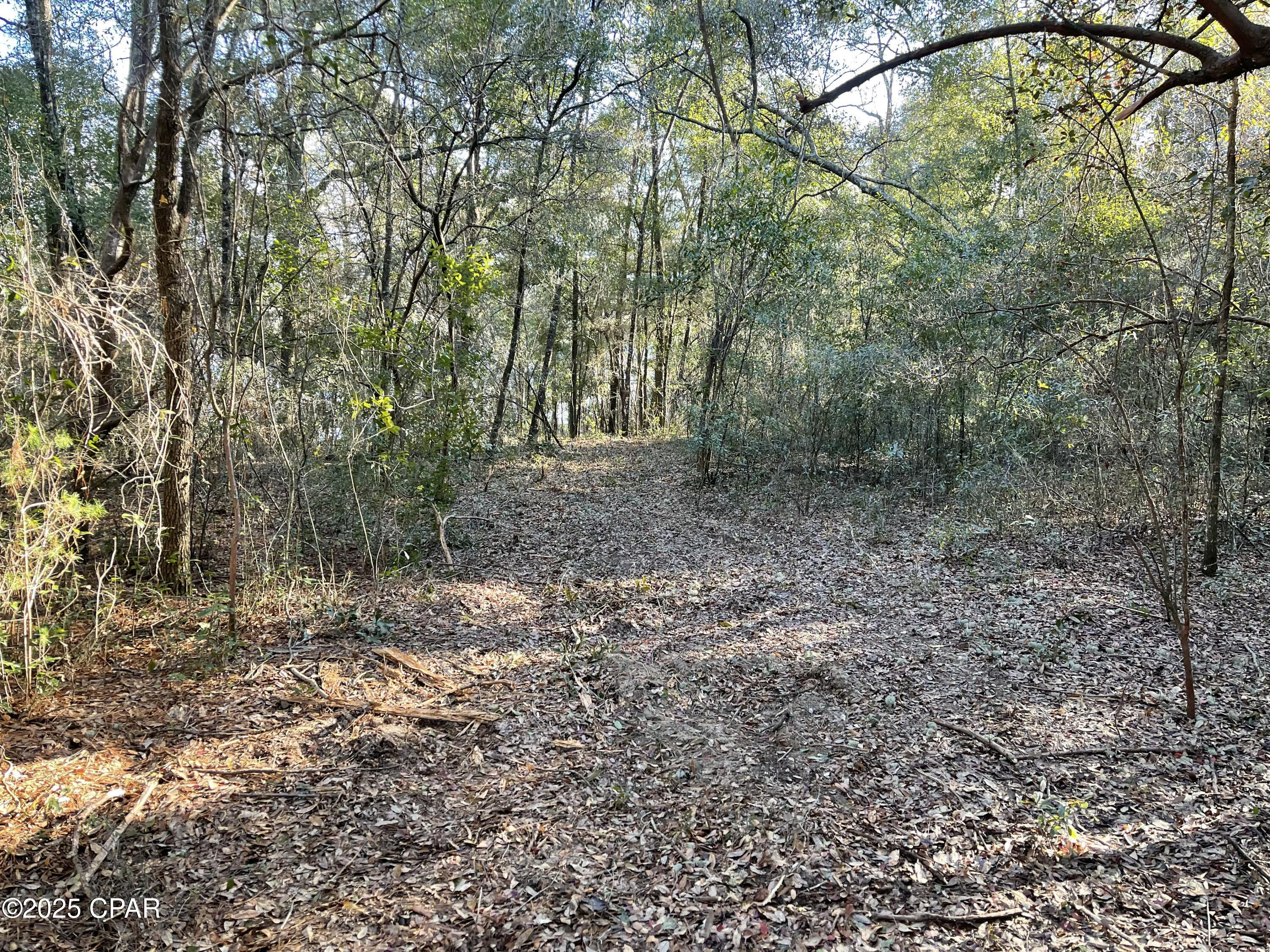 Bent Oaks - Land