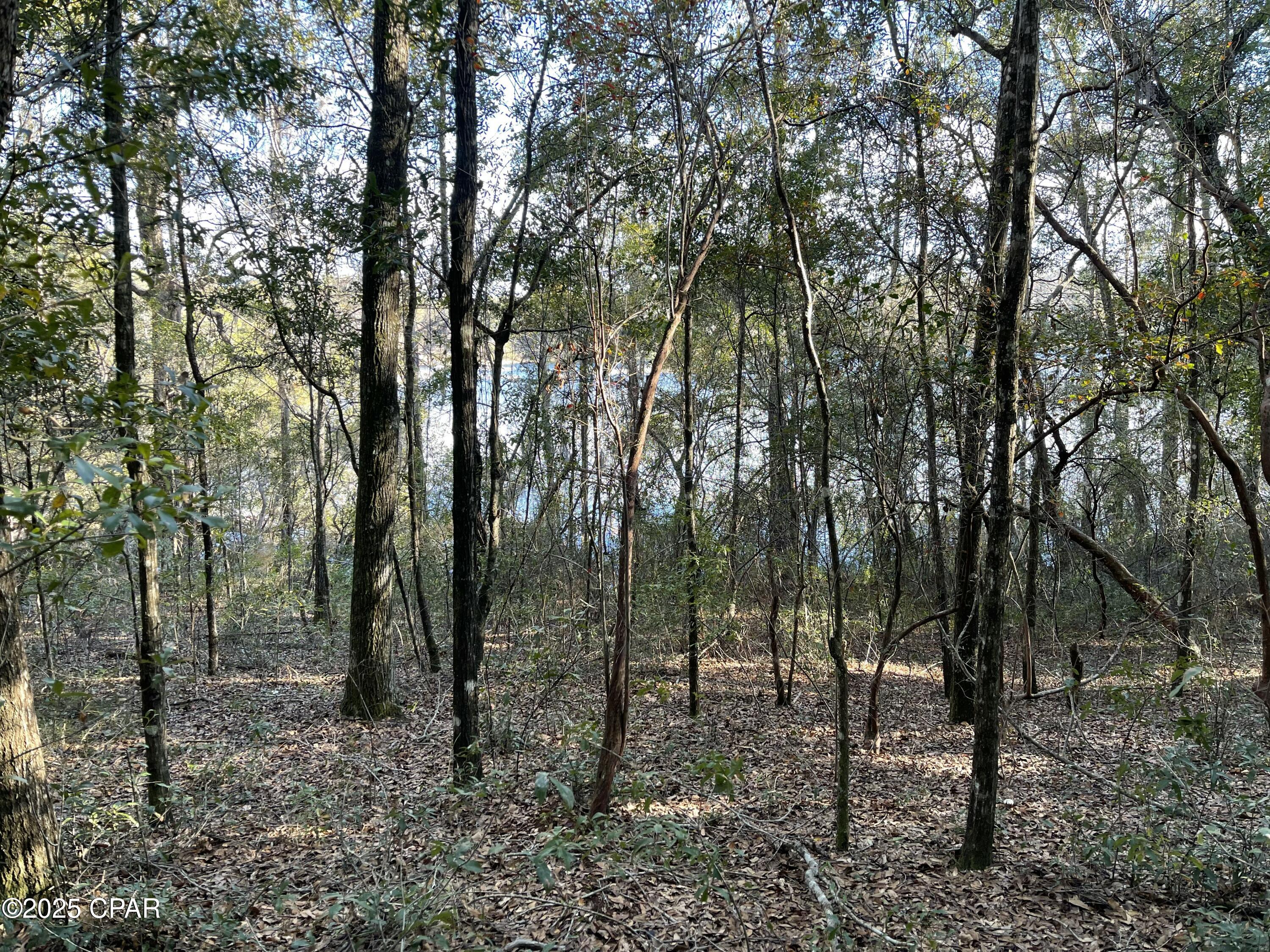 Bent Oaks - Land