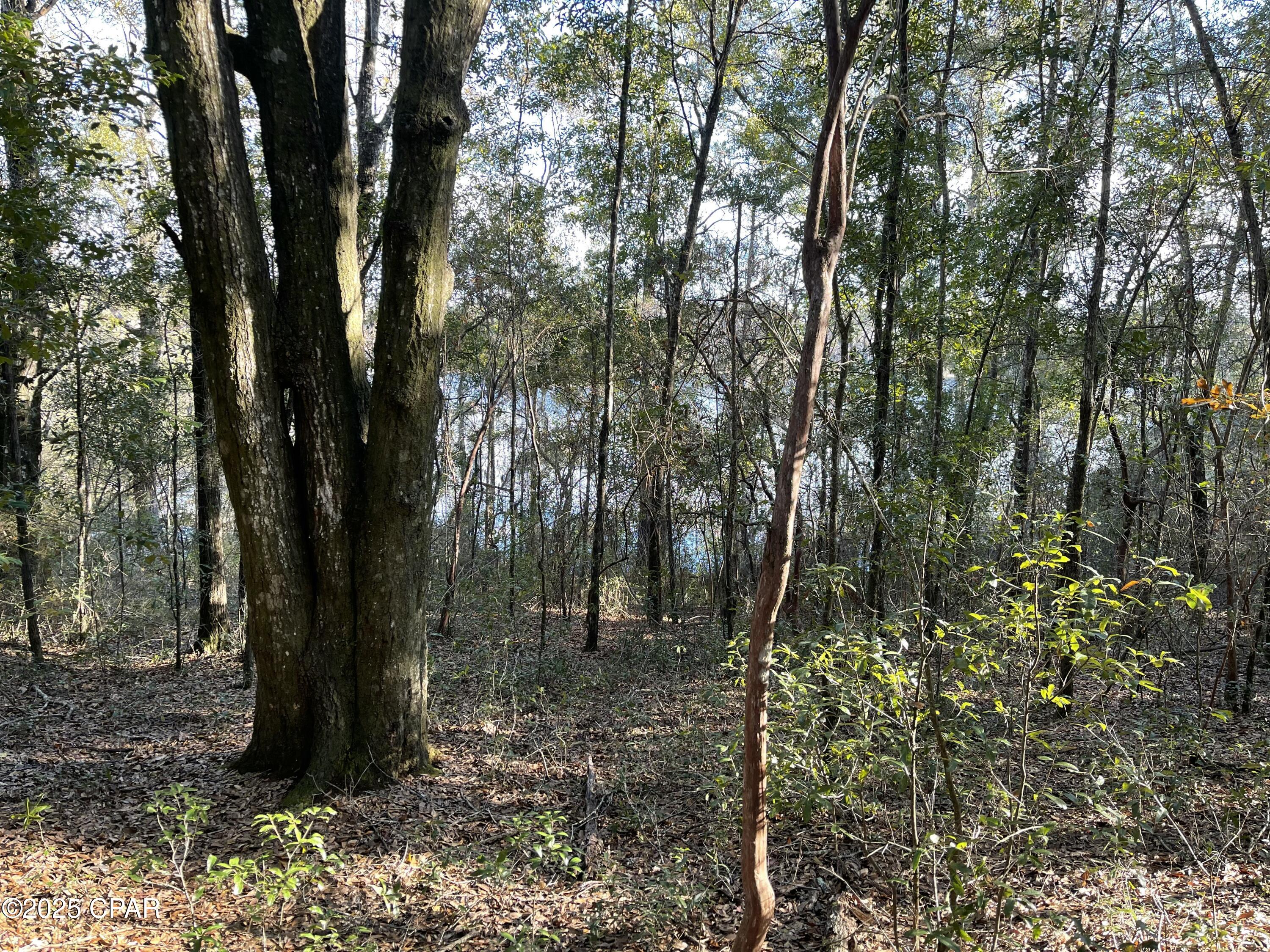 Bent Oaks - Land