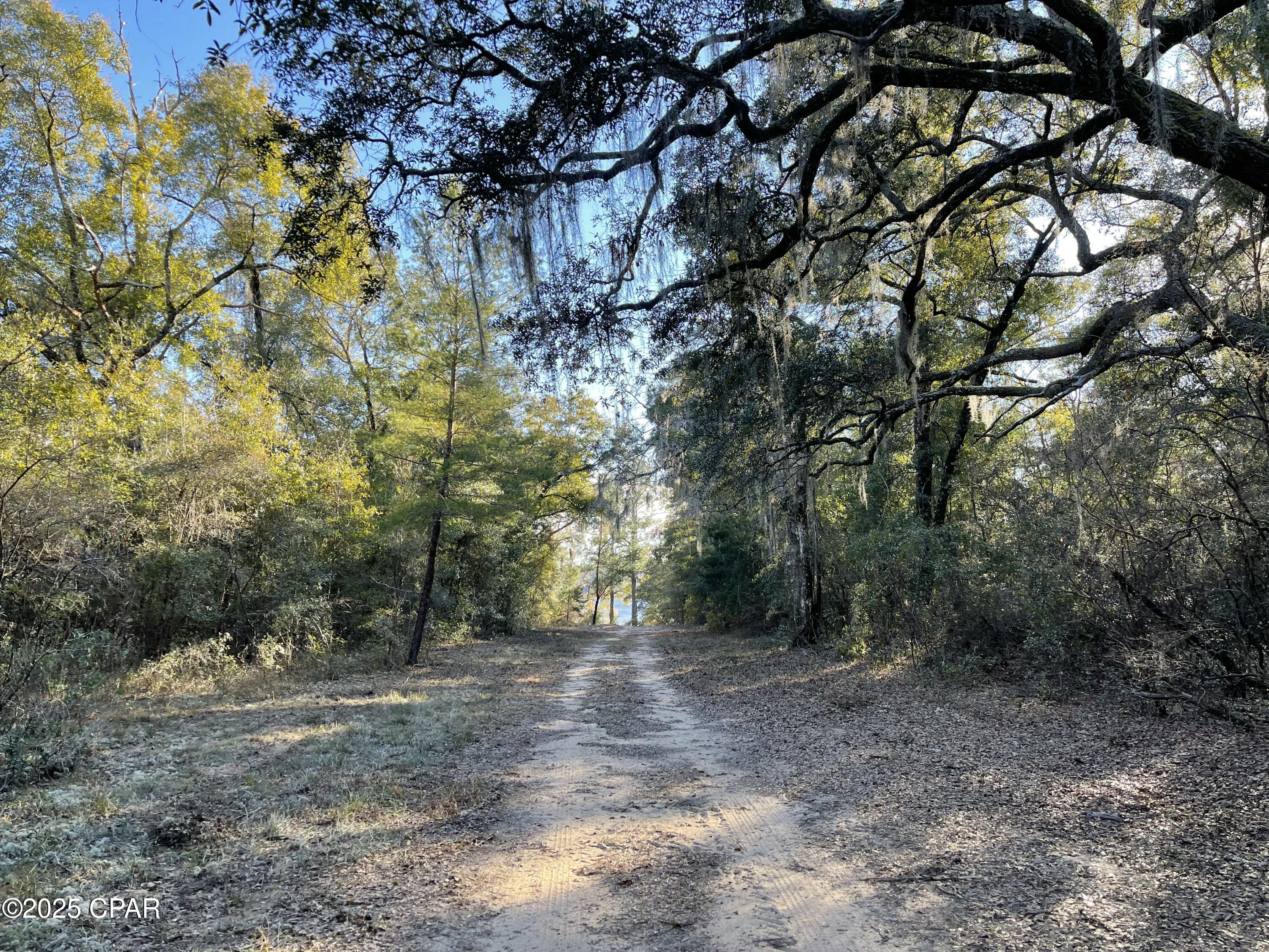 Bent Oaks - Land