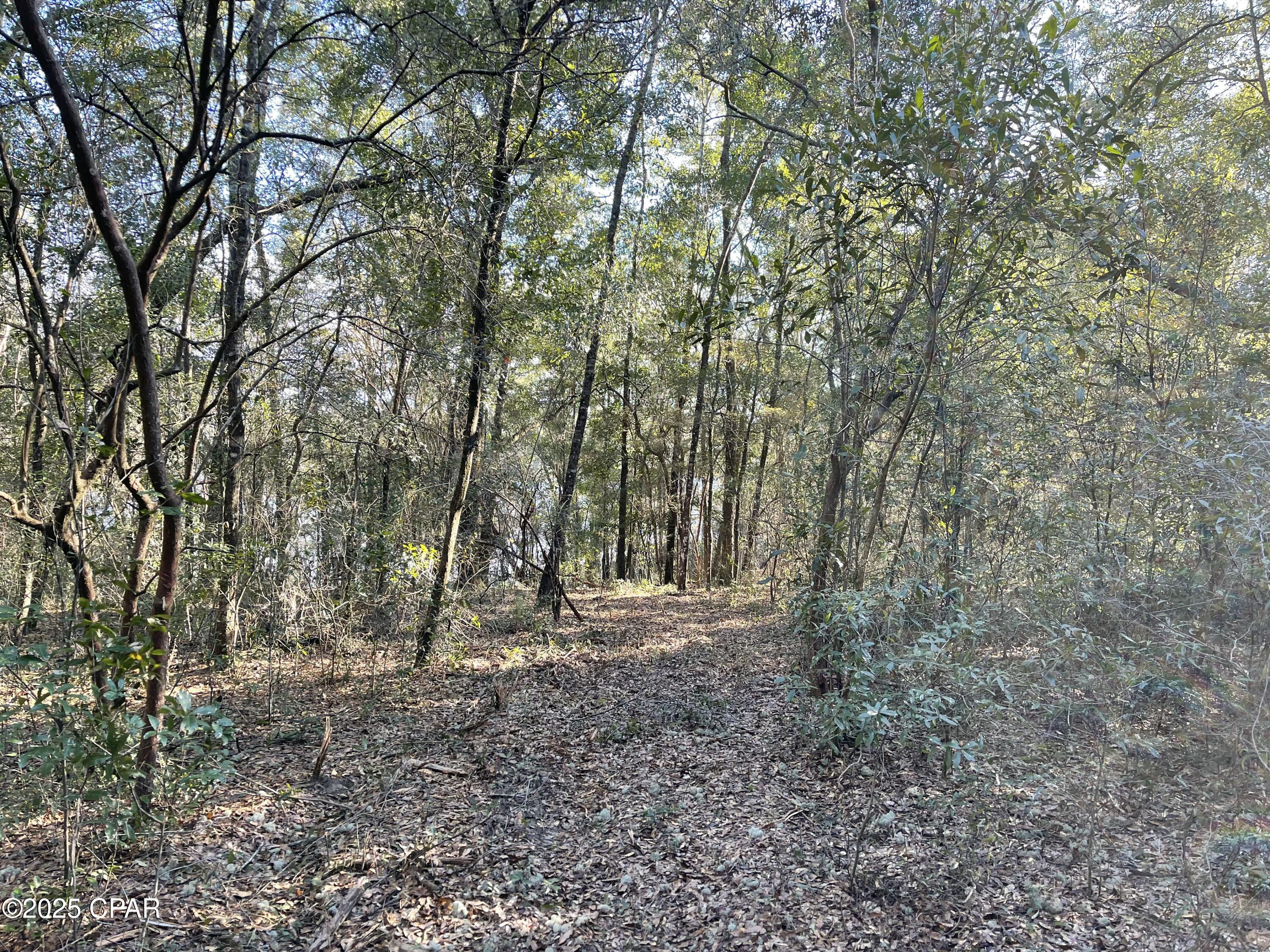 Bent Oaks - Land