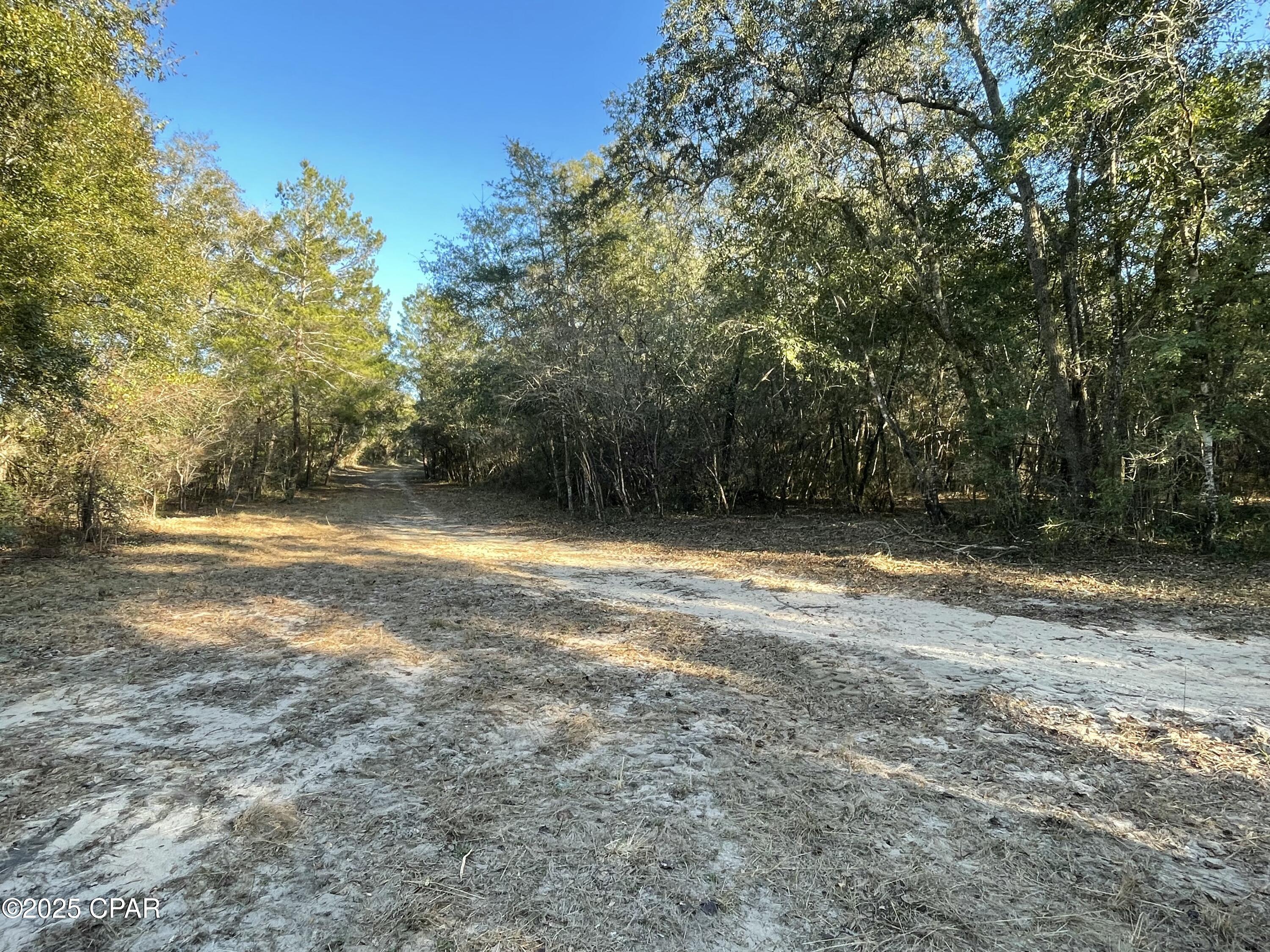 Bent Oaks - Land