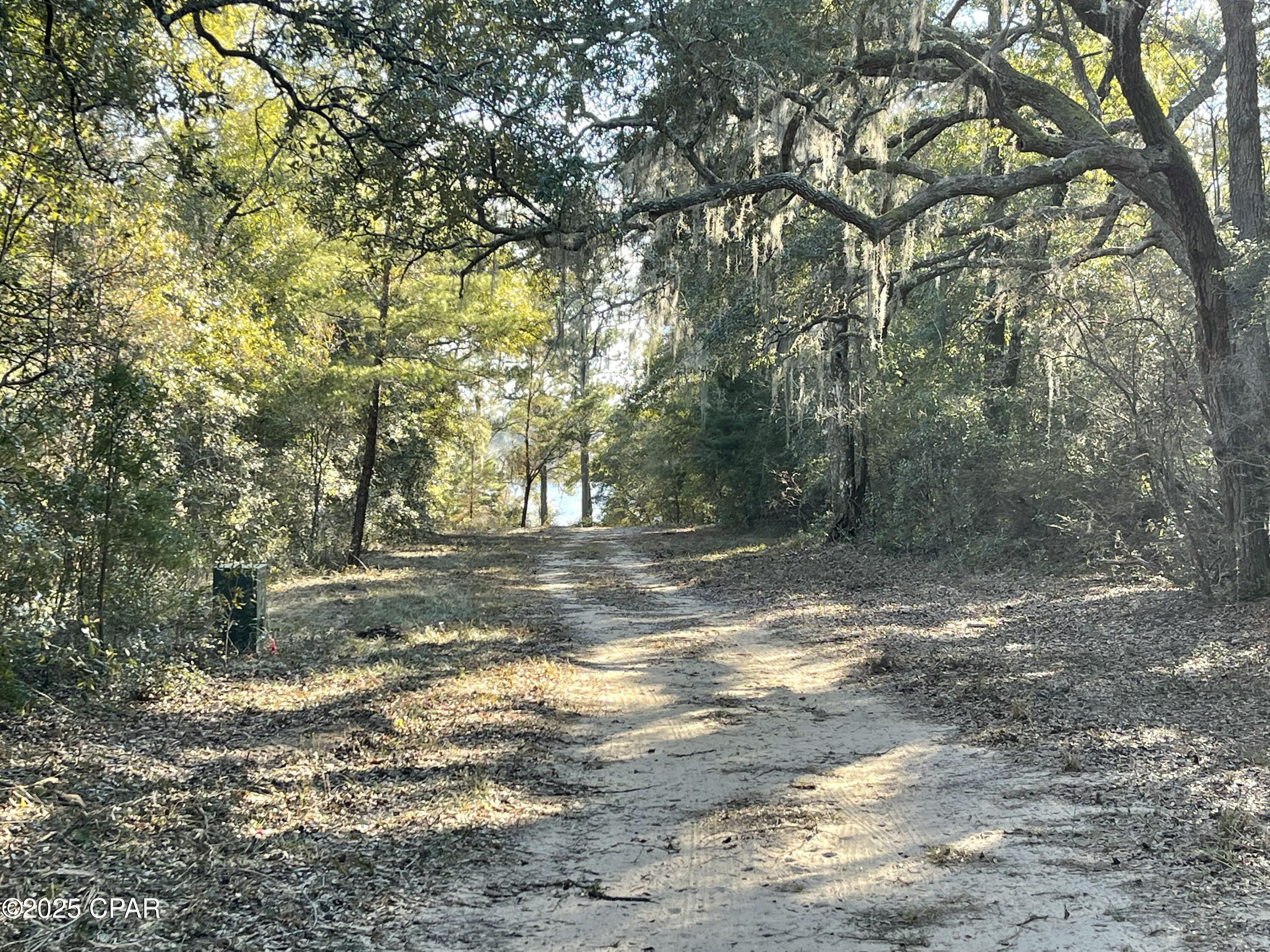 Bent Oaks - Land