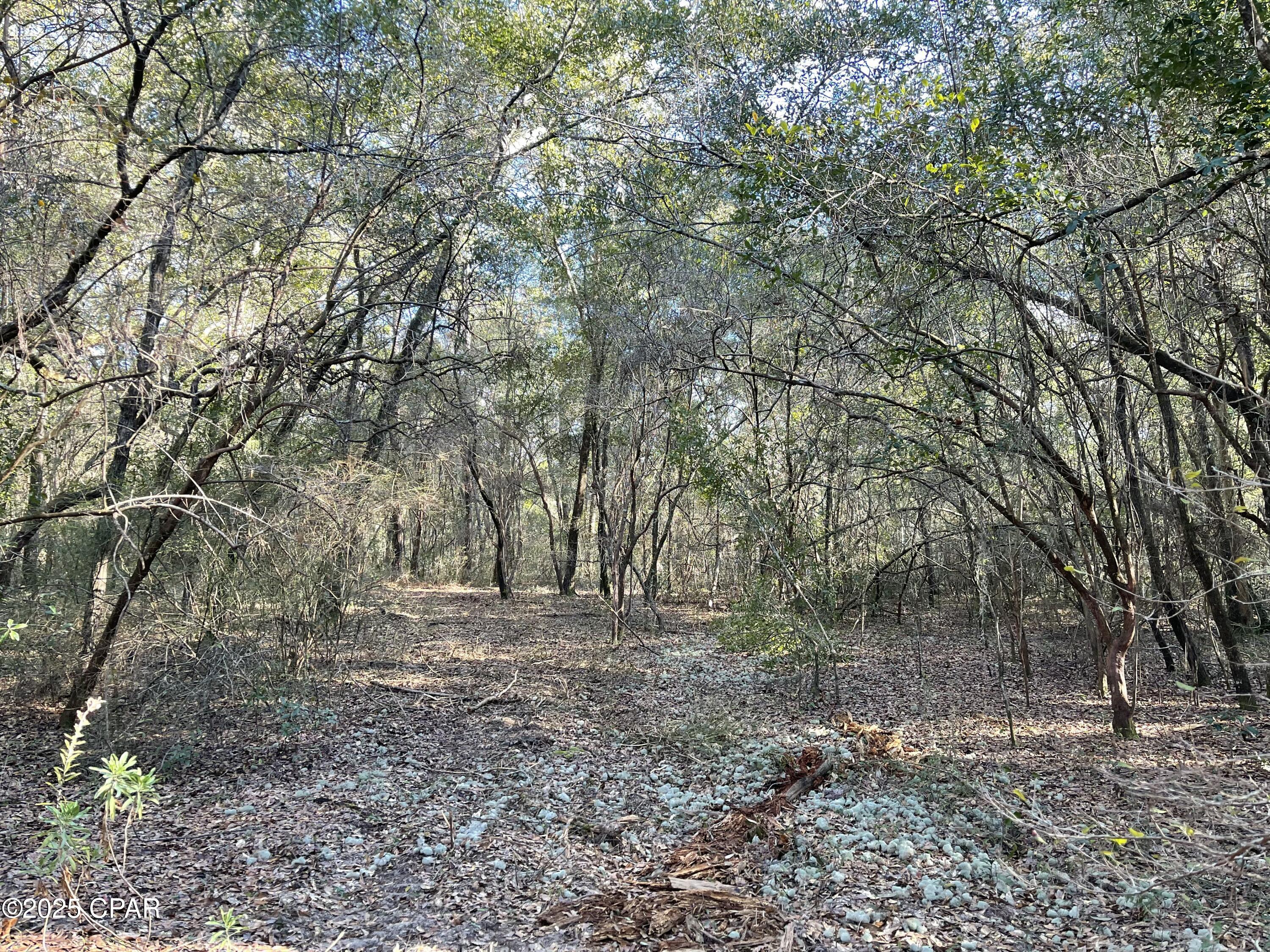 Bent Oaks - Land
