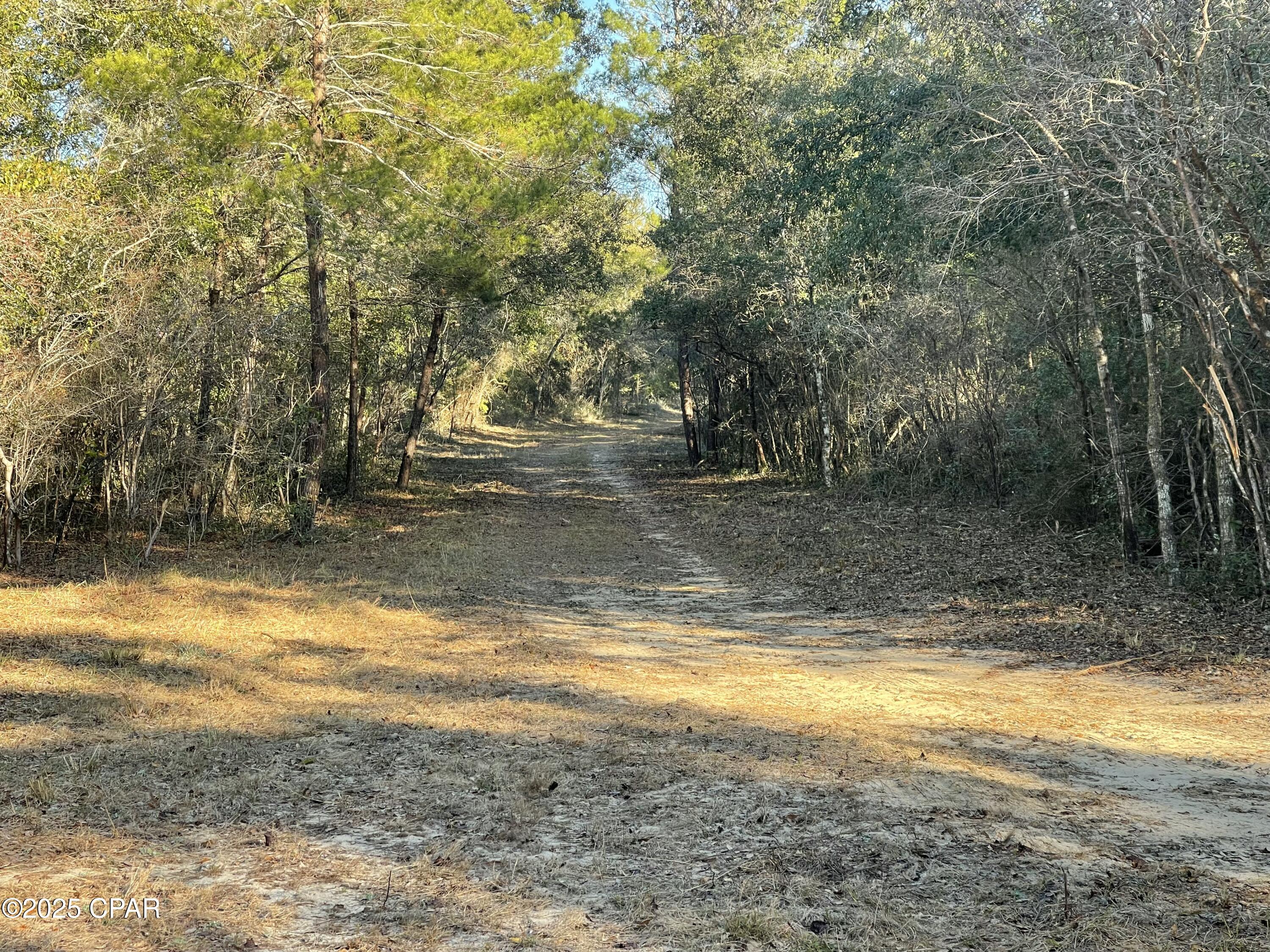 Bent Oaks - Land