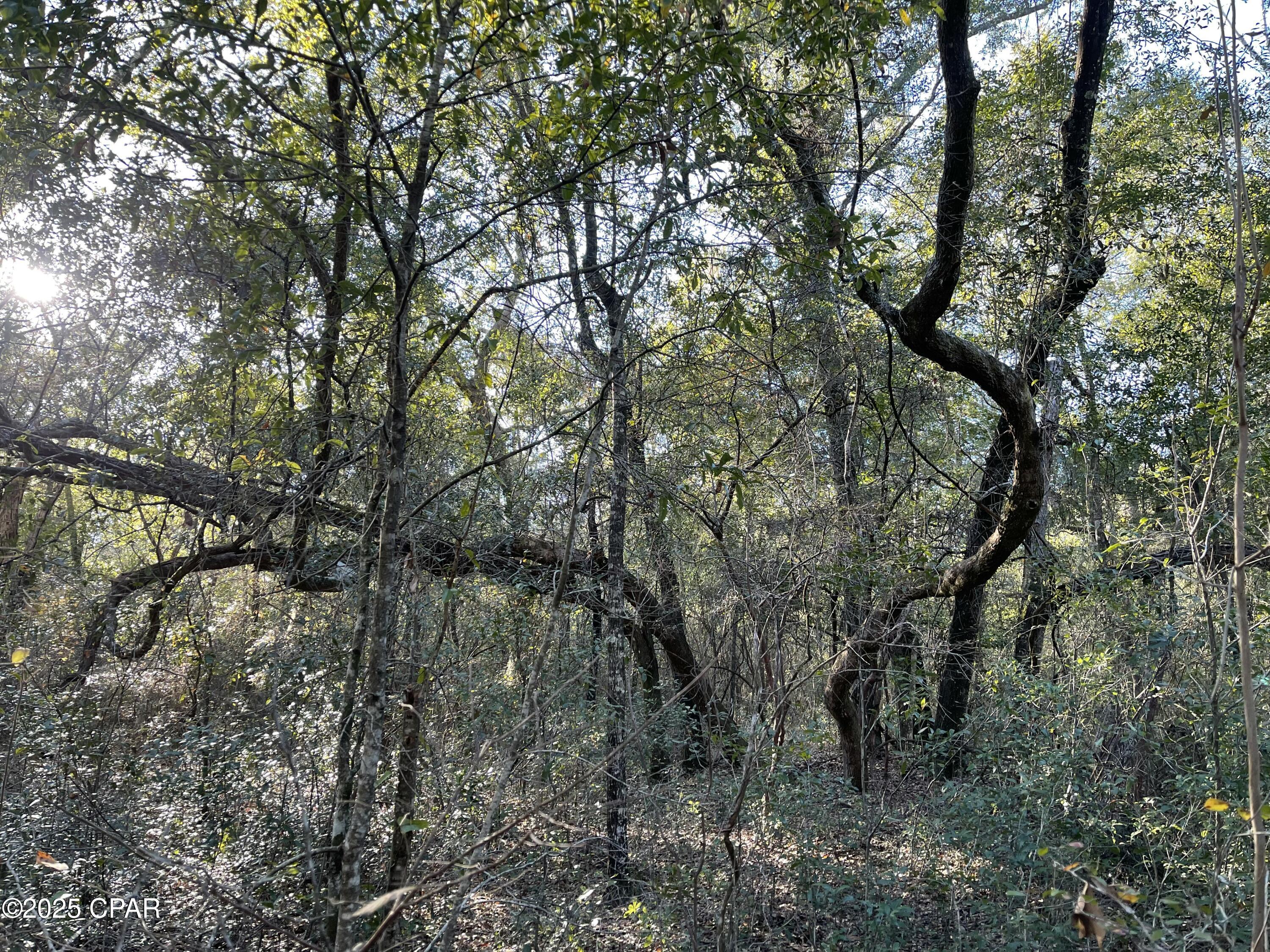 Bent Oaks - Land