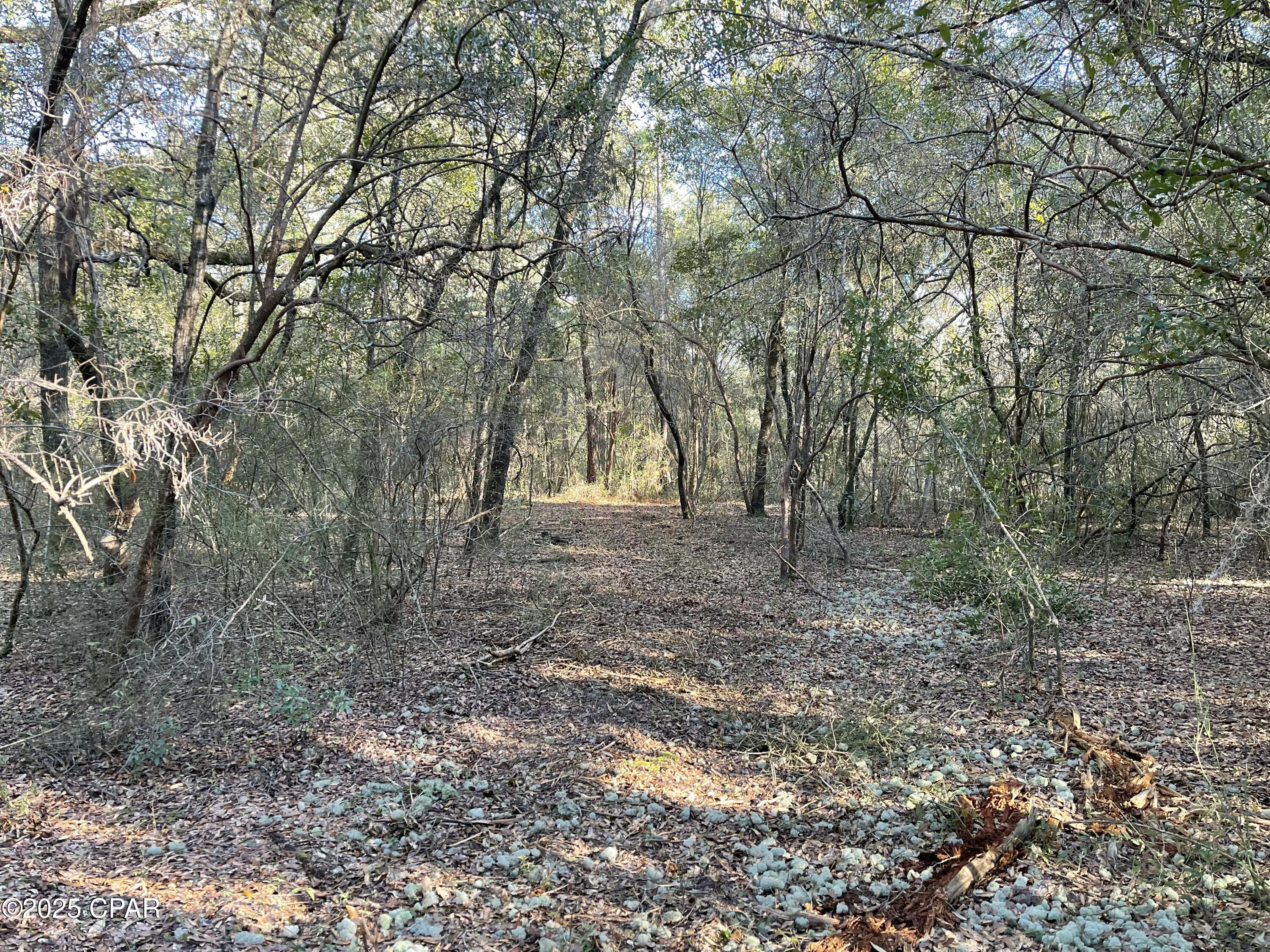 Bent Oaks - Land