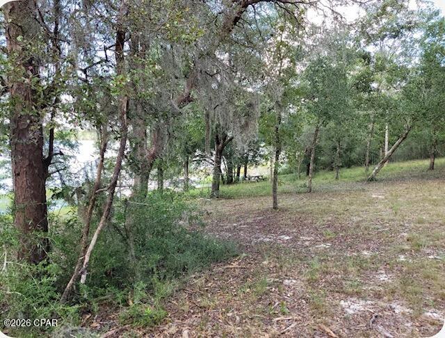 Leisure Lakes 1st Add - Land