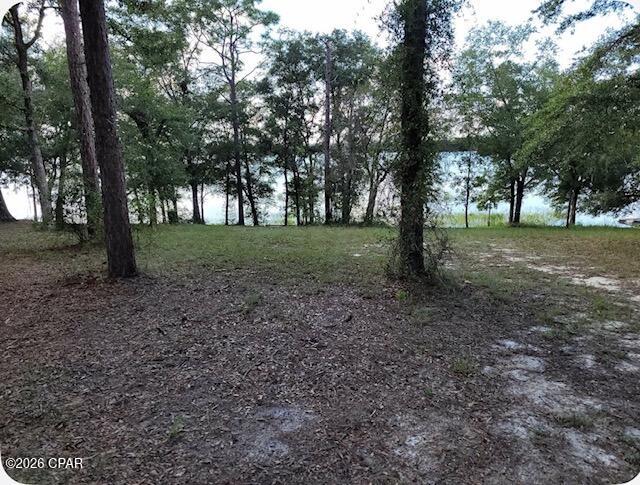 Leisure Lakes 1st Add - Land