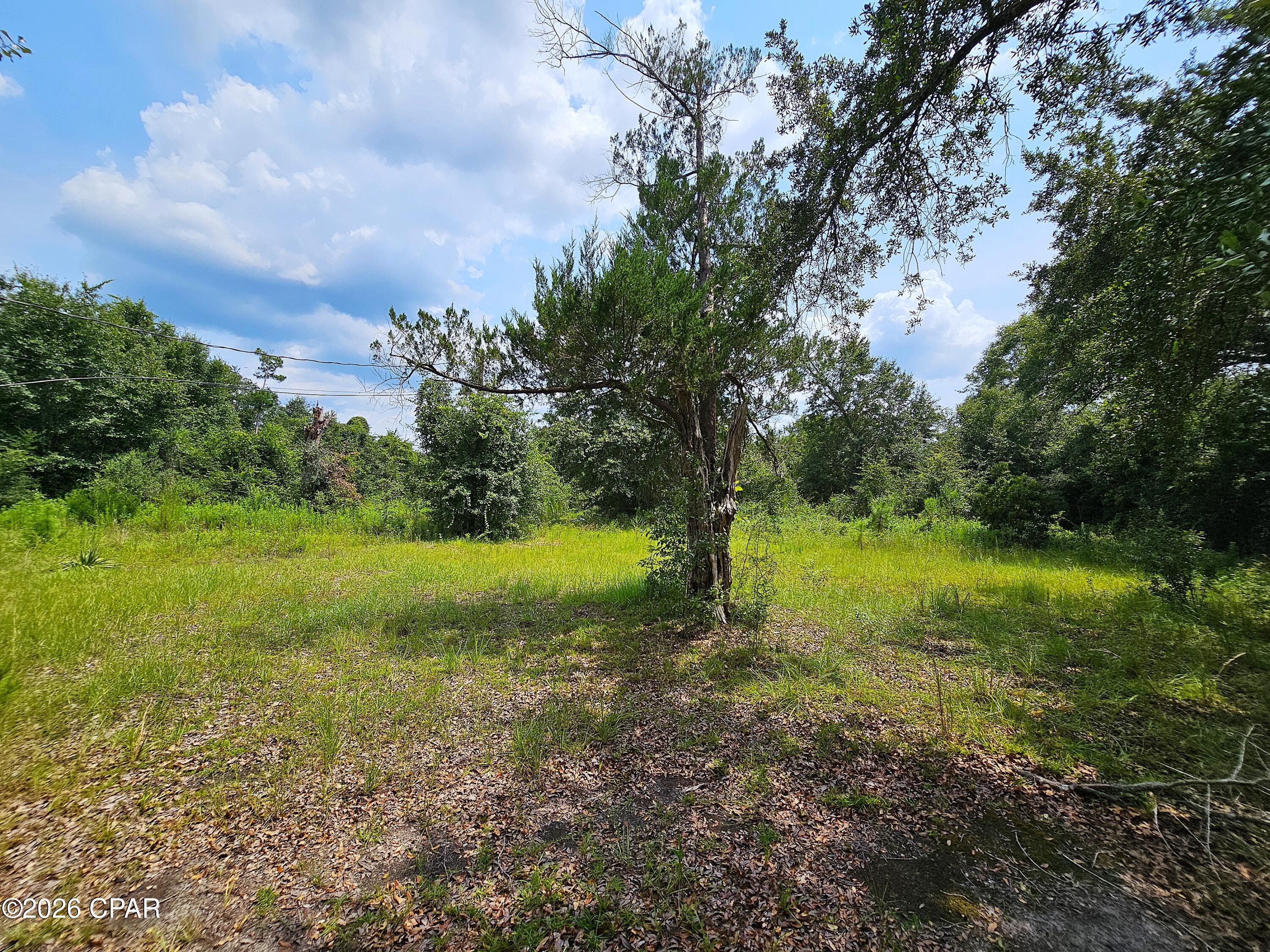 Cedar Wood Estates Ph I - Land