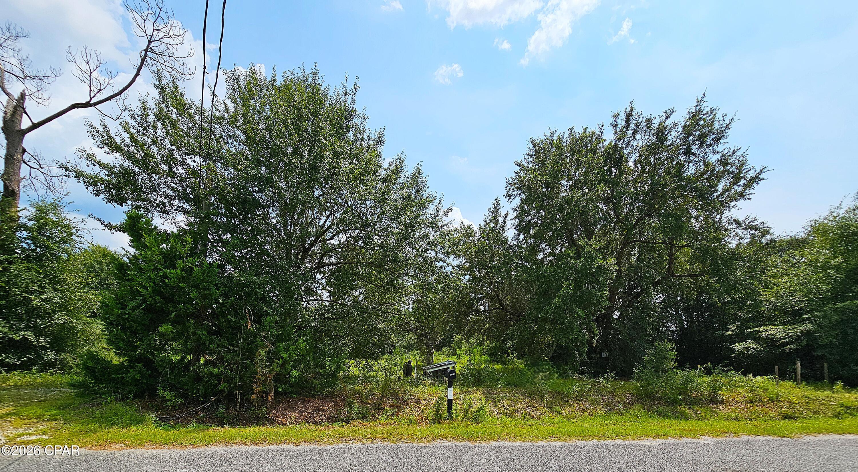 Cedar Wood Estates Ph I - Land